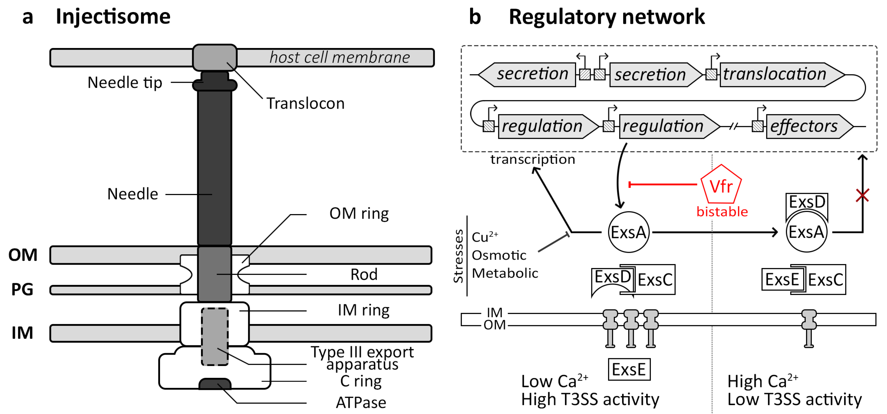 Microorganisms 12 01930 g002