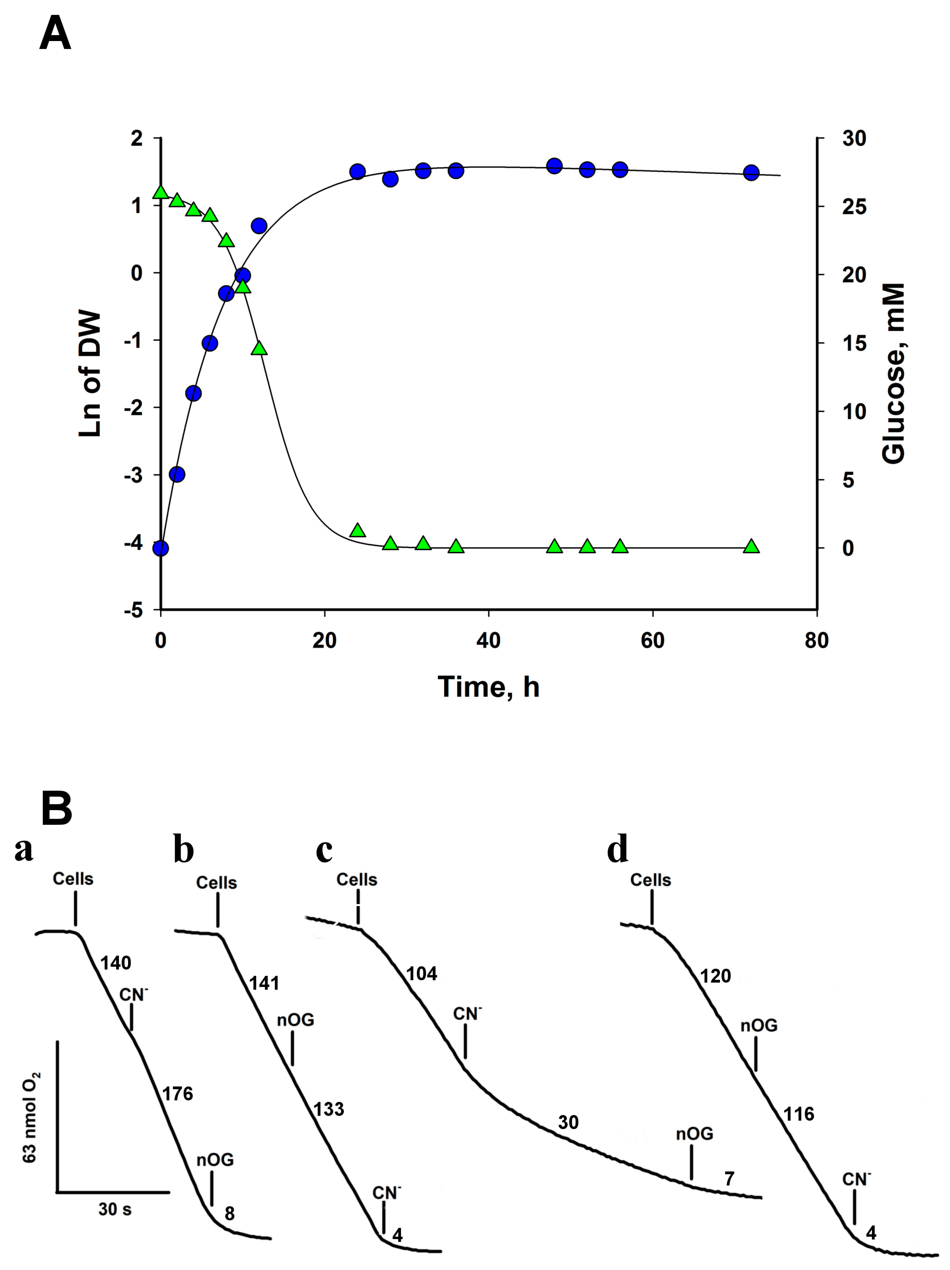 Microorganisms 12 01931 g001