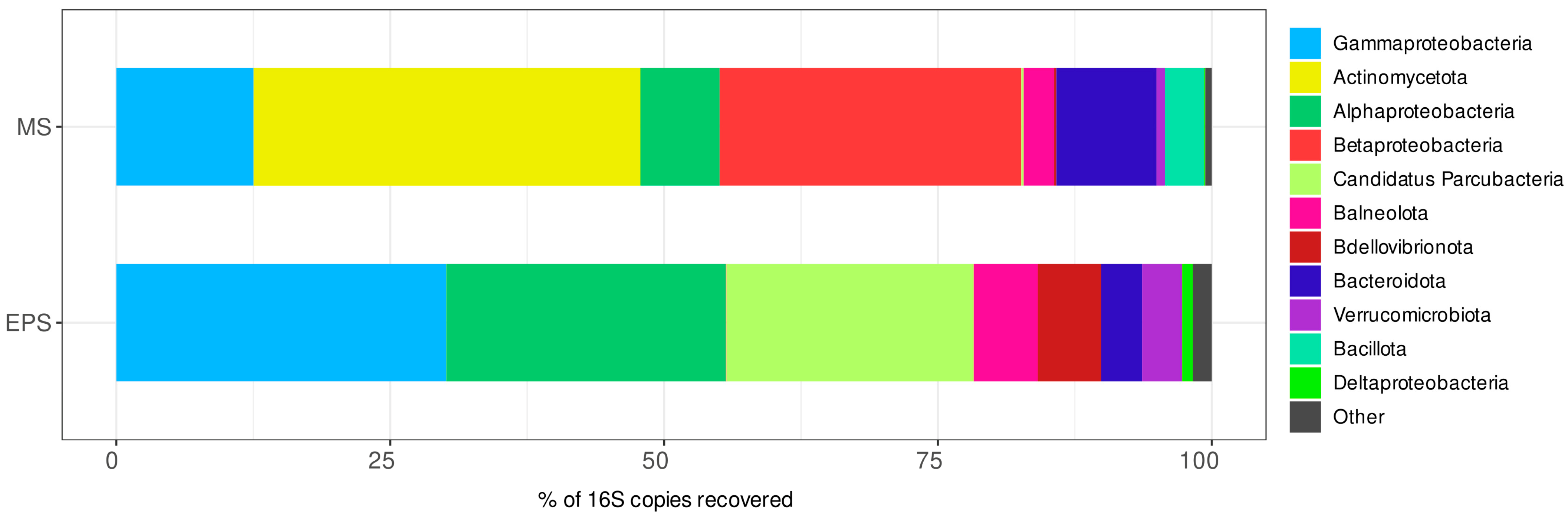 Microorganisms 12 01947 g001