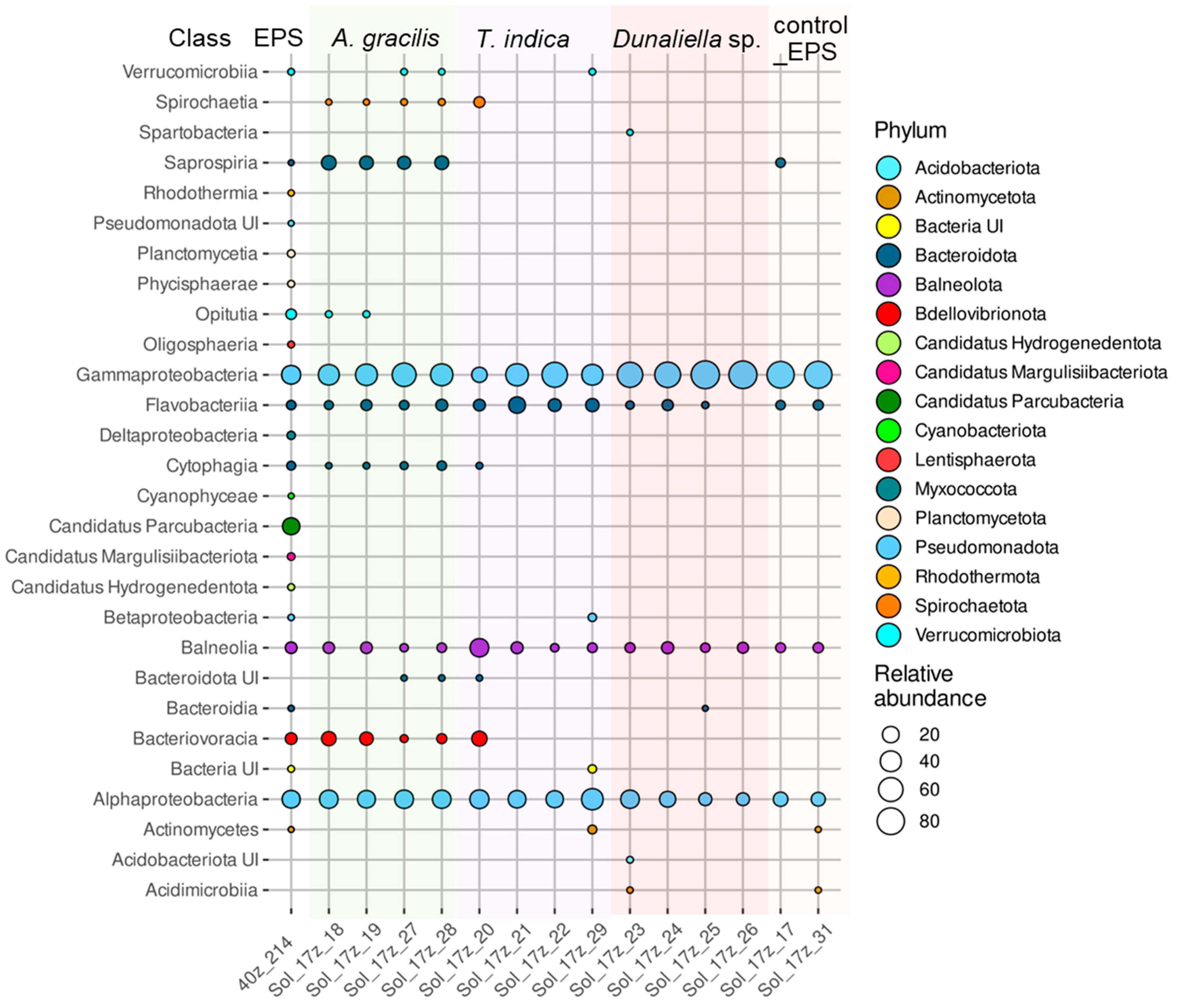 Microorganisms 12 01947 g005