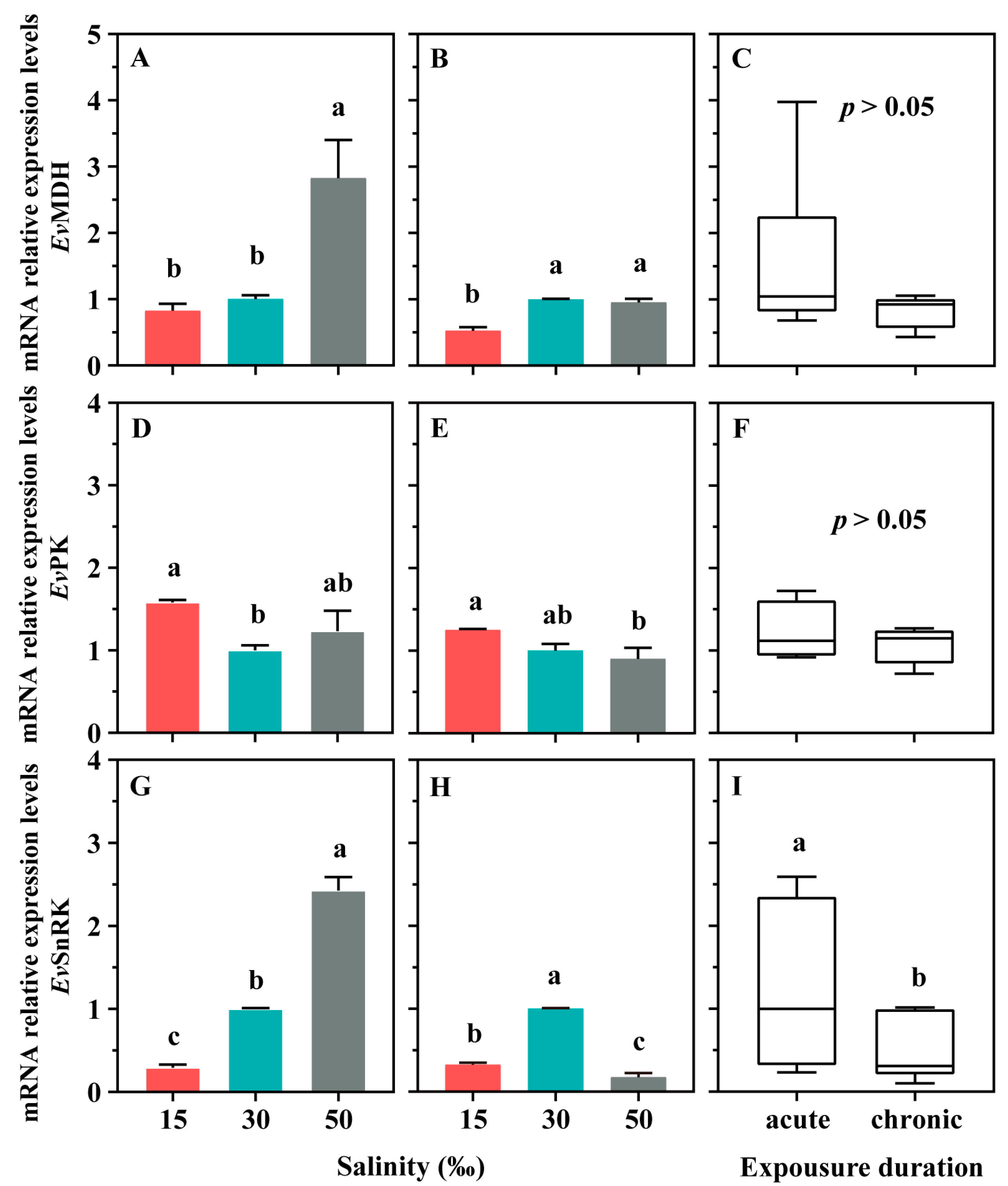 Microorganisms 12 01957 g004