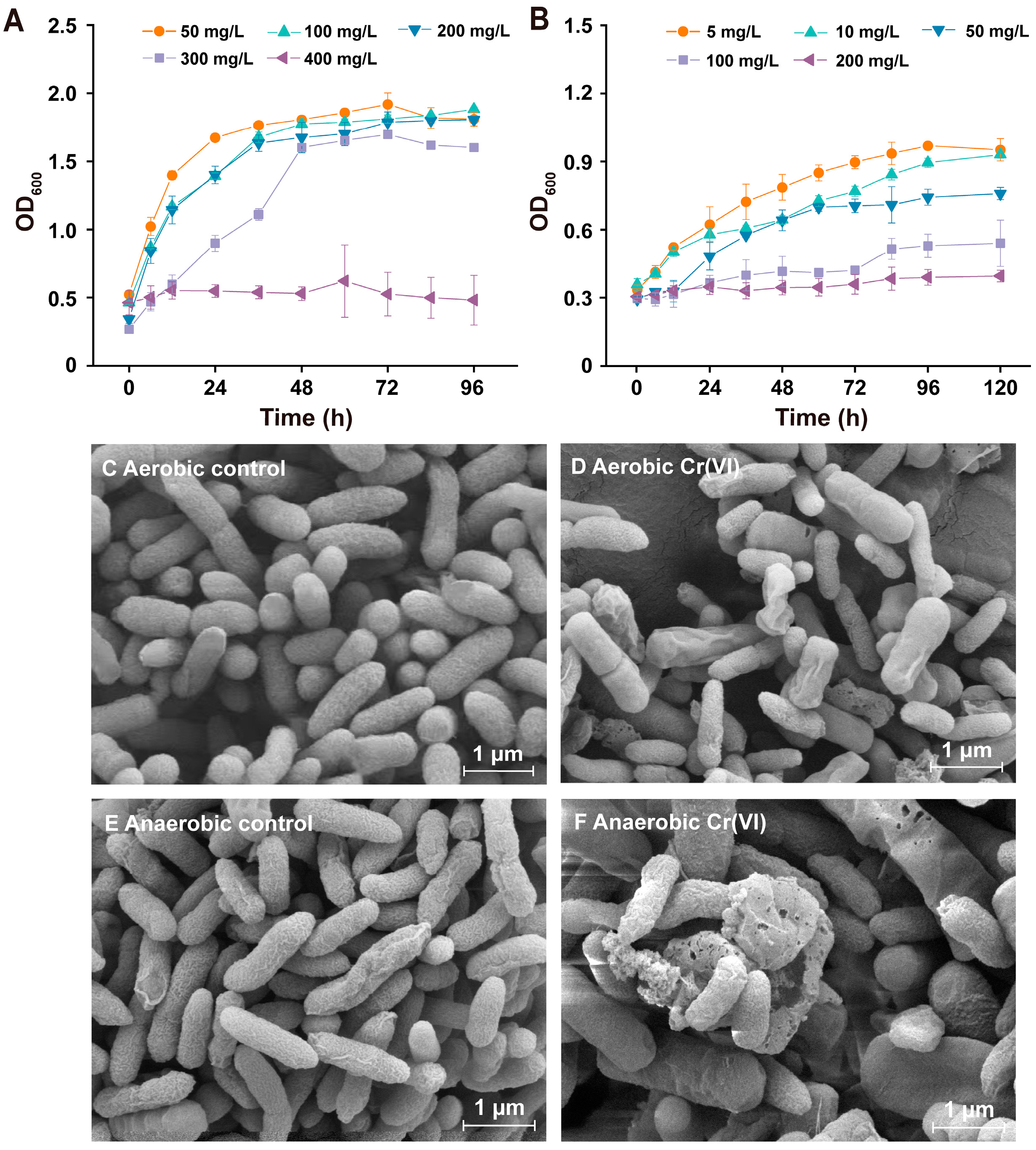 Microorganisms 12 01958 g002