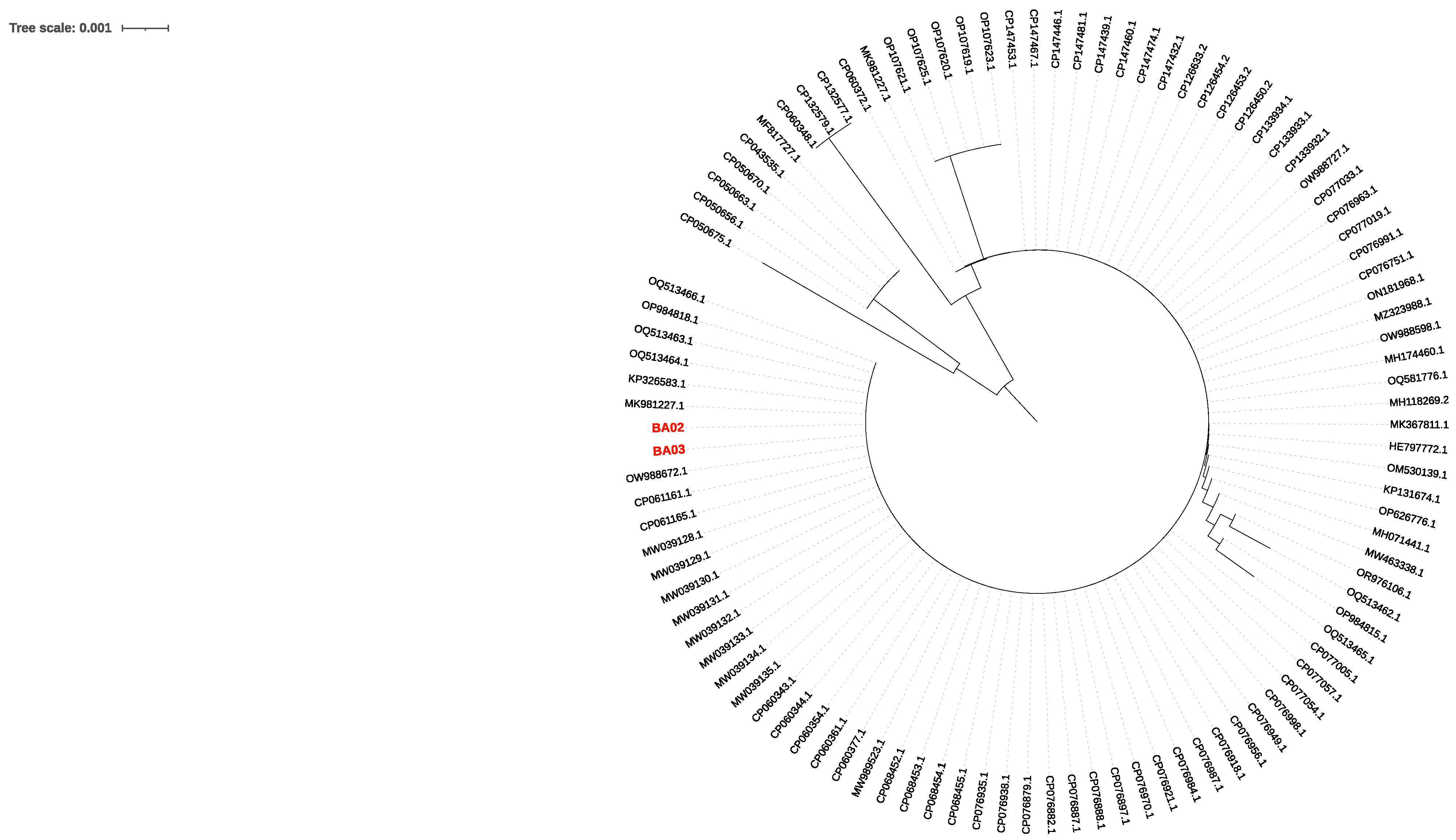 Microorganisms 12 01962 g002