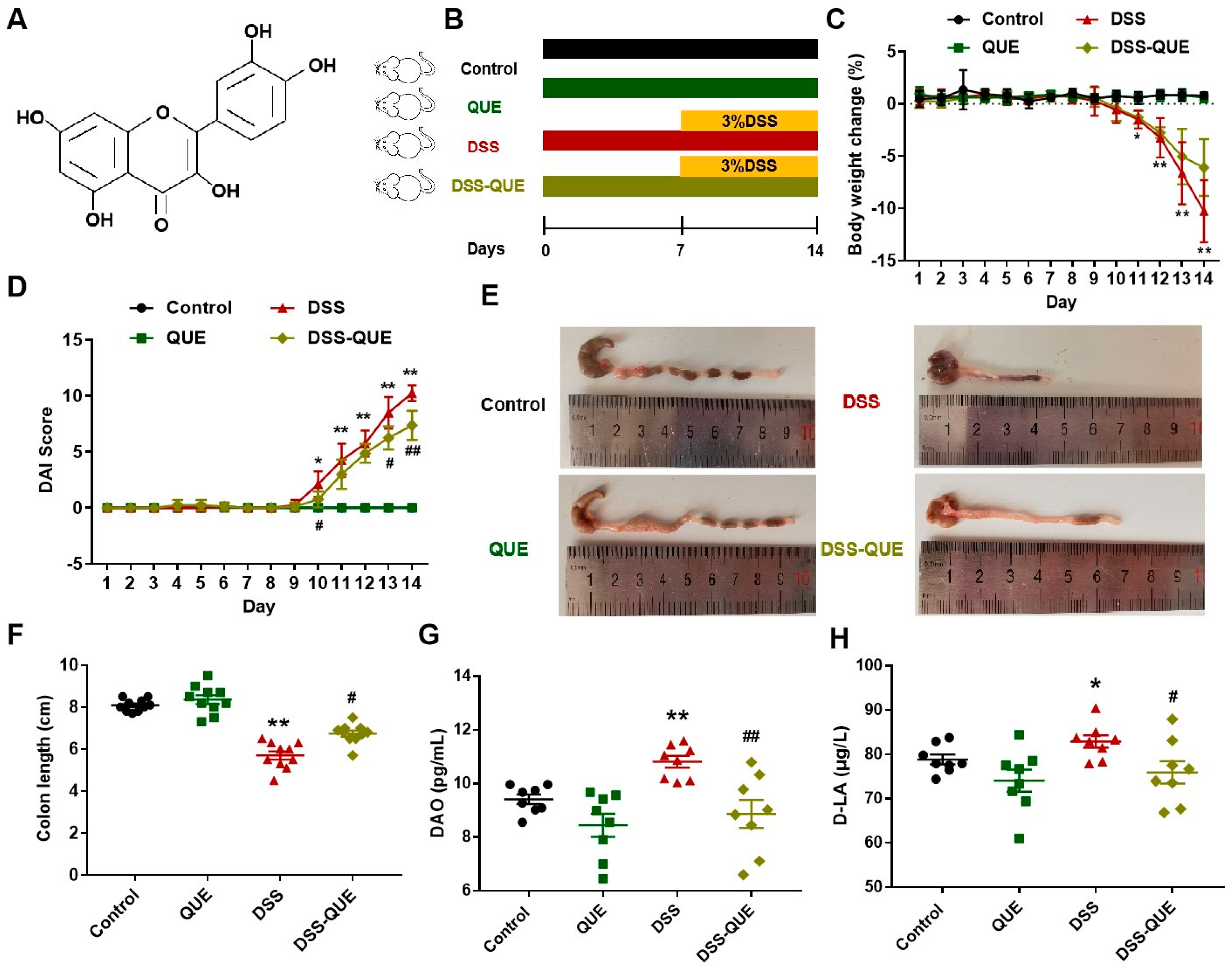 Microorganisms 12 01973 g001