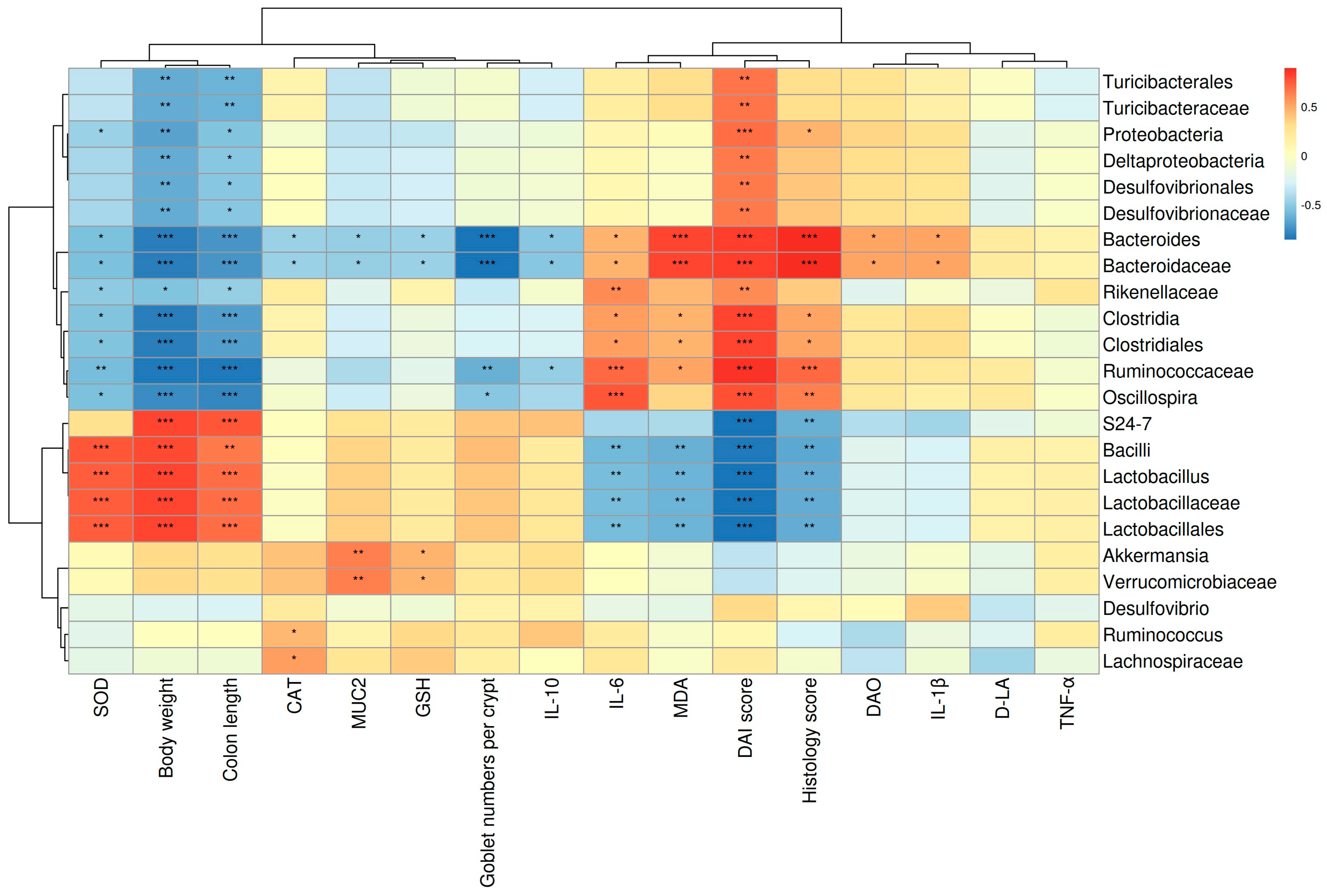 Microorganisms 12 01973 g008