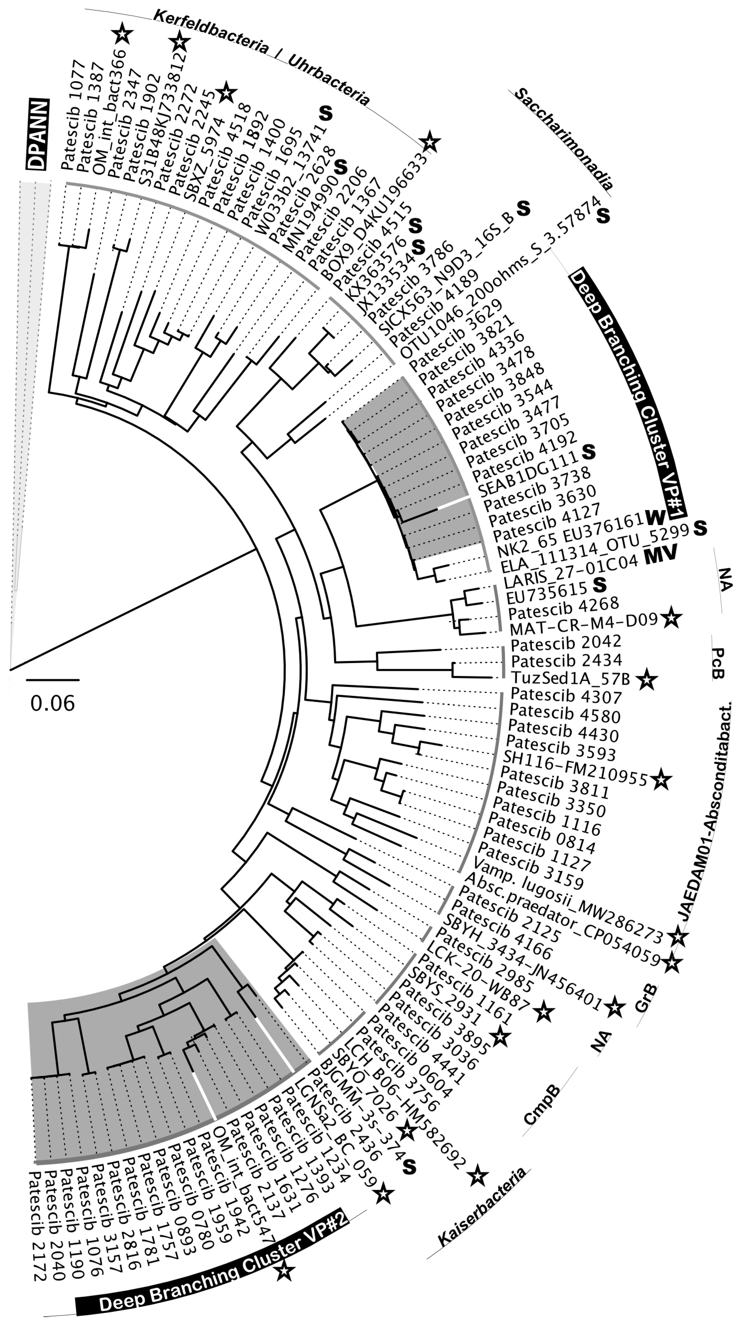Microorganisms 12 01975 g008