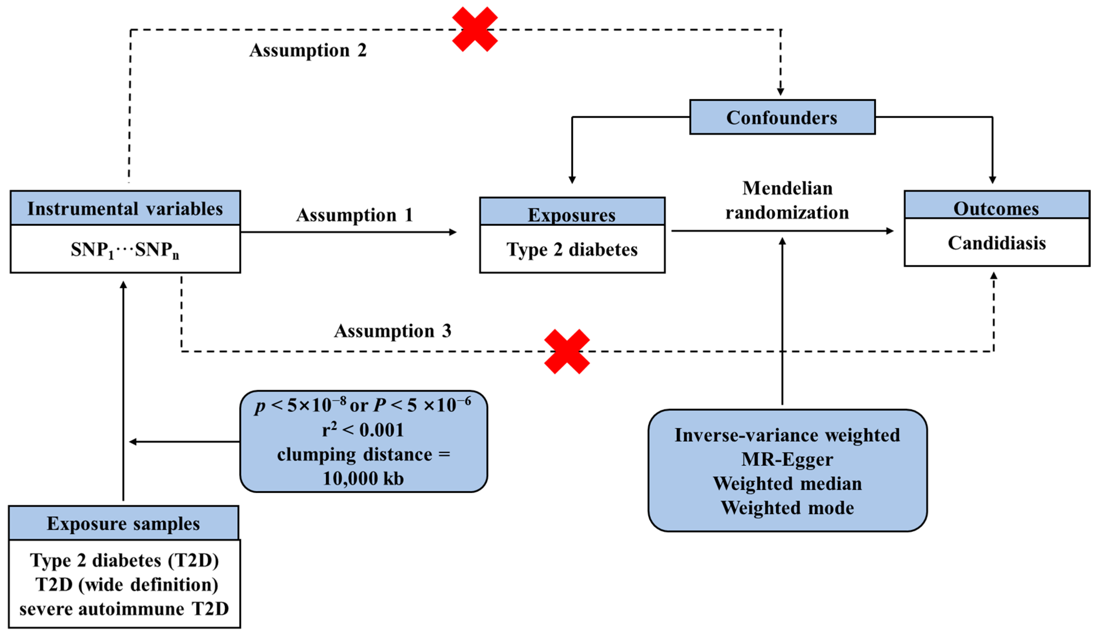 Microorganisms 12 01984 g001
