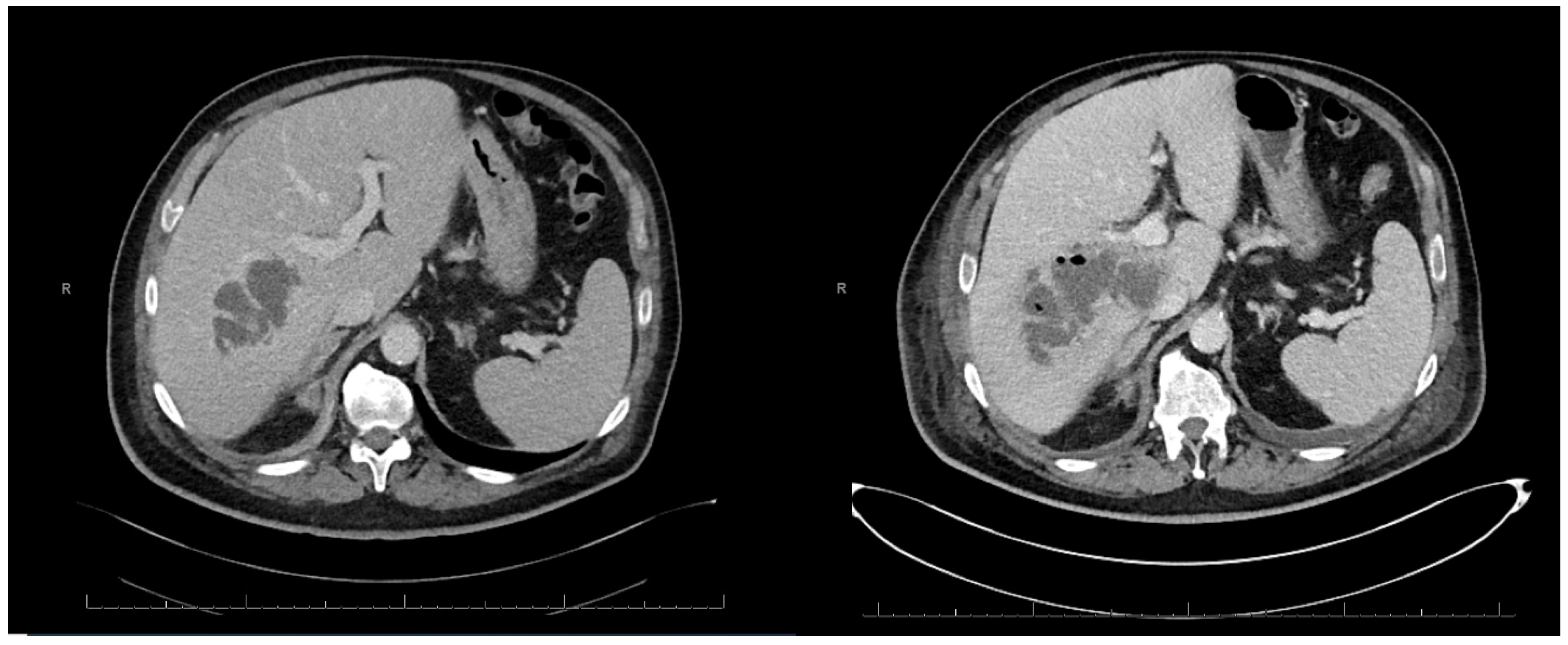 Microorganisms 12 01989 g002