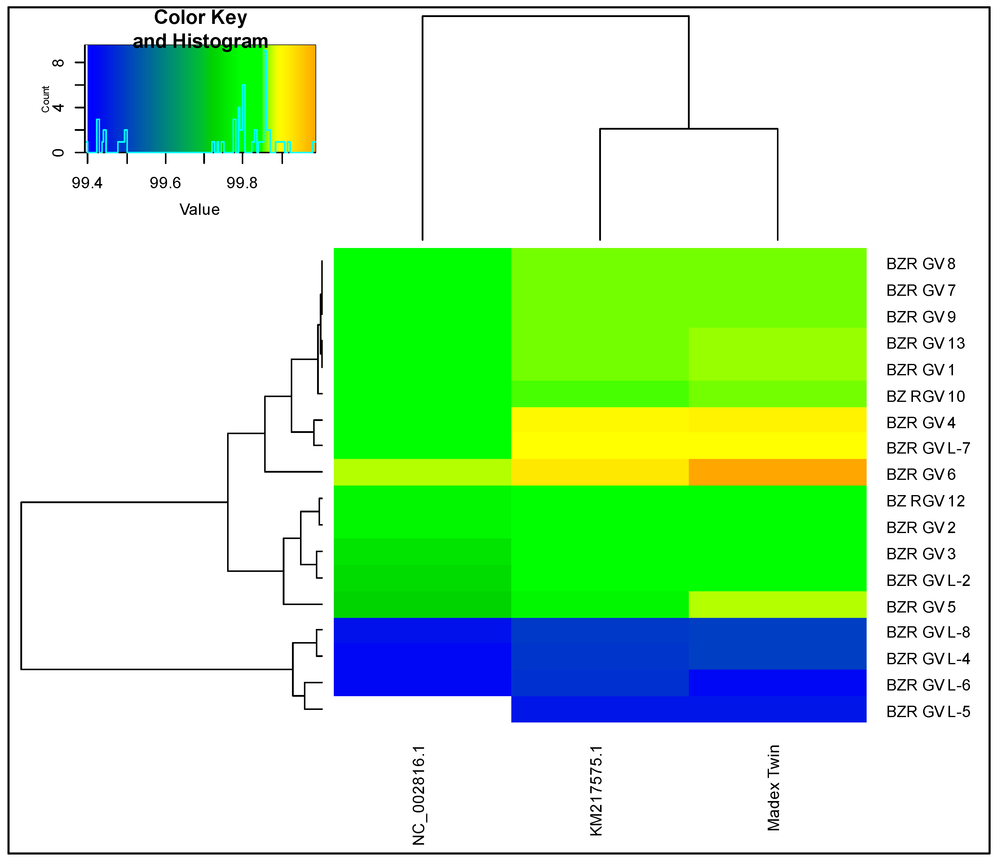 Microorganisms 12 01991 g001