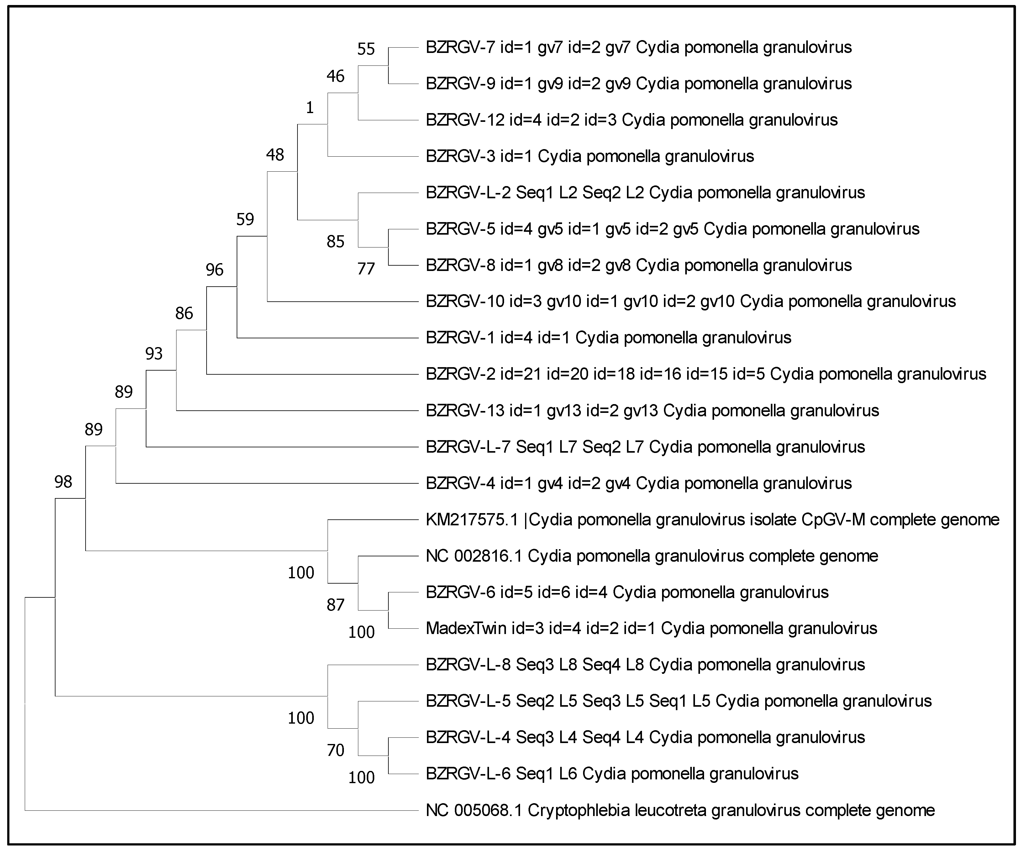 Microorganisms 12 01991 g002