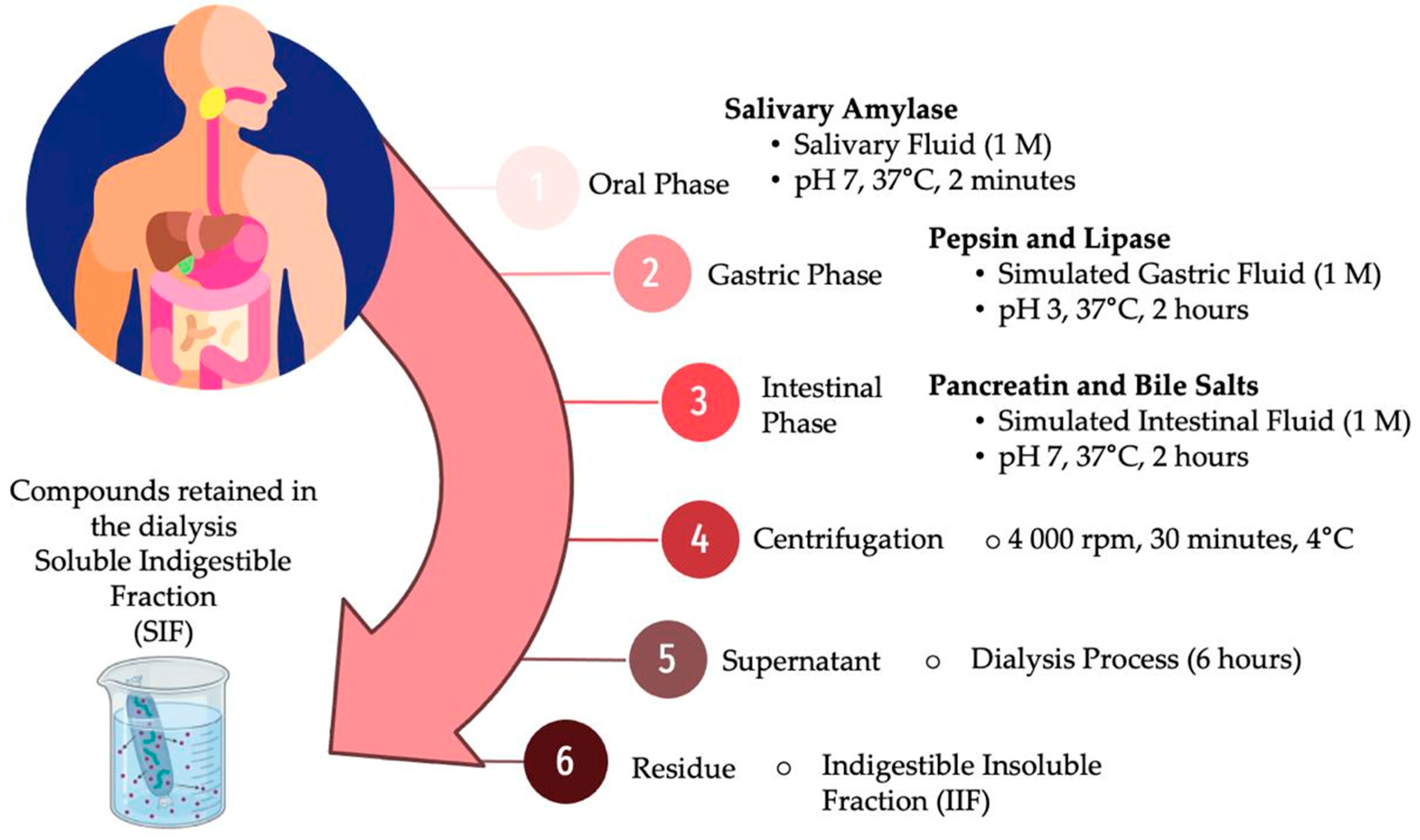 Microorganisms 12 01993 g001