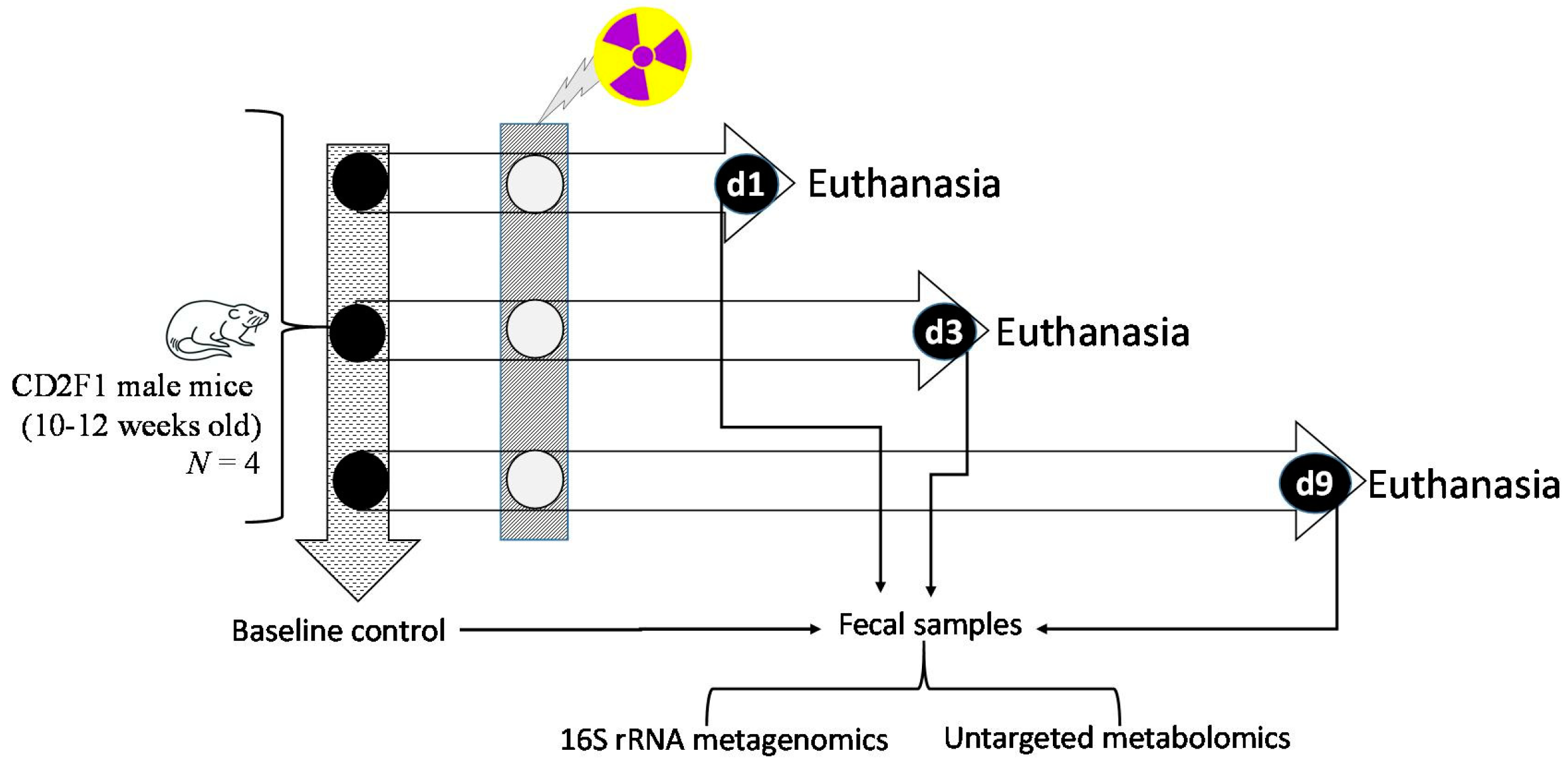 Microorganisms 12 01995 g001