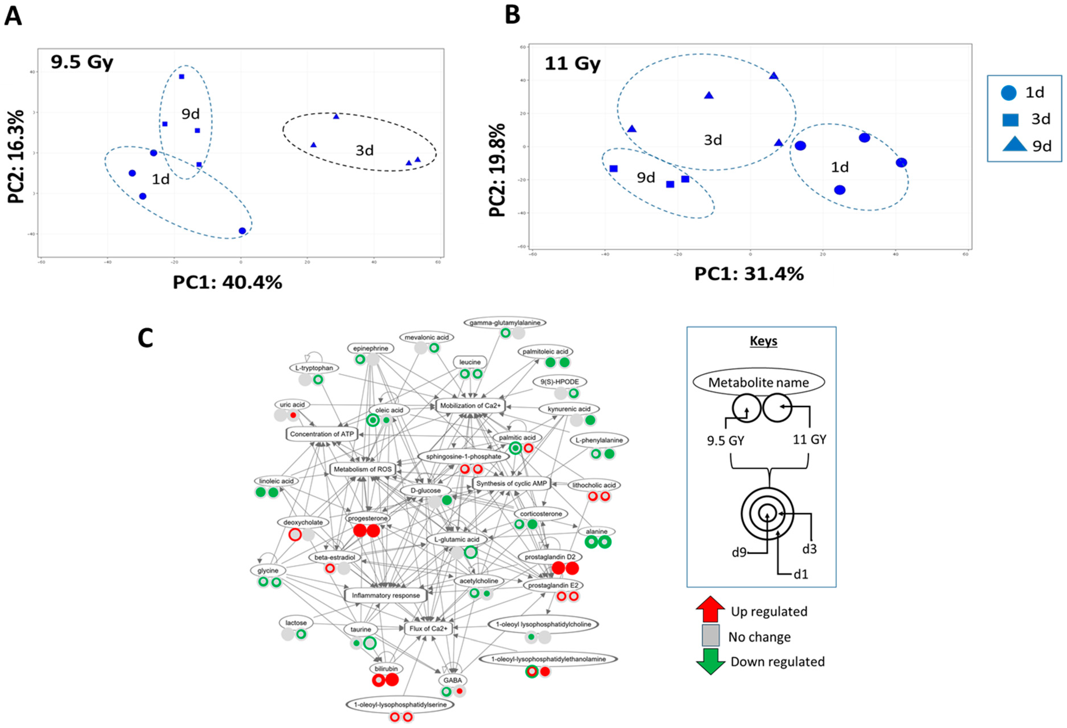 Microorganisms 12 01995 g005