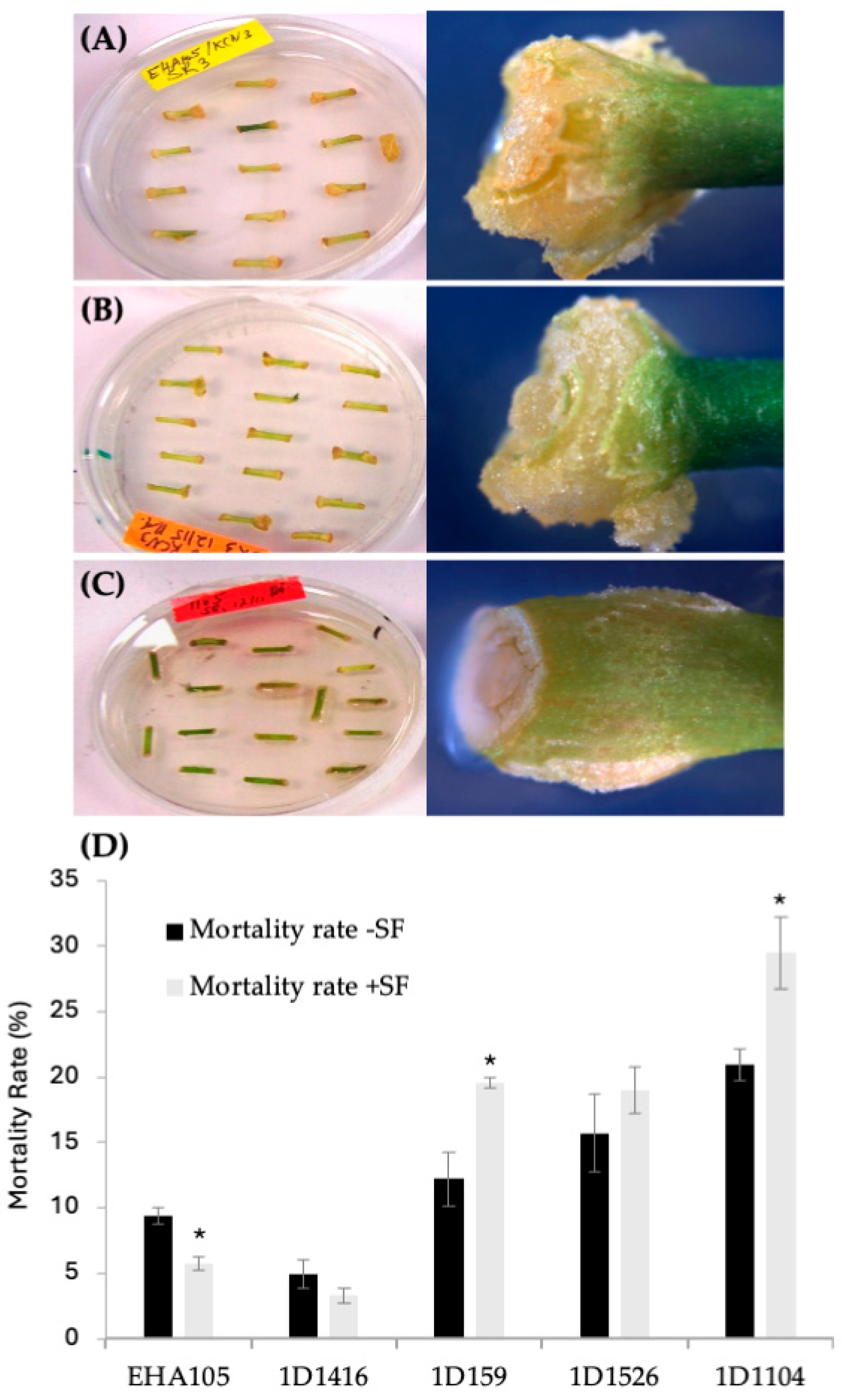 Microorganisms 12 01999 g002 Microorganisms 12 01999 g002