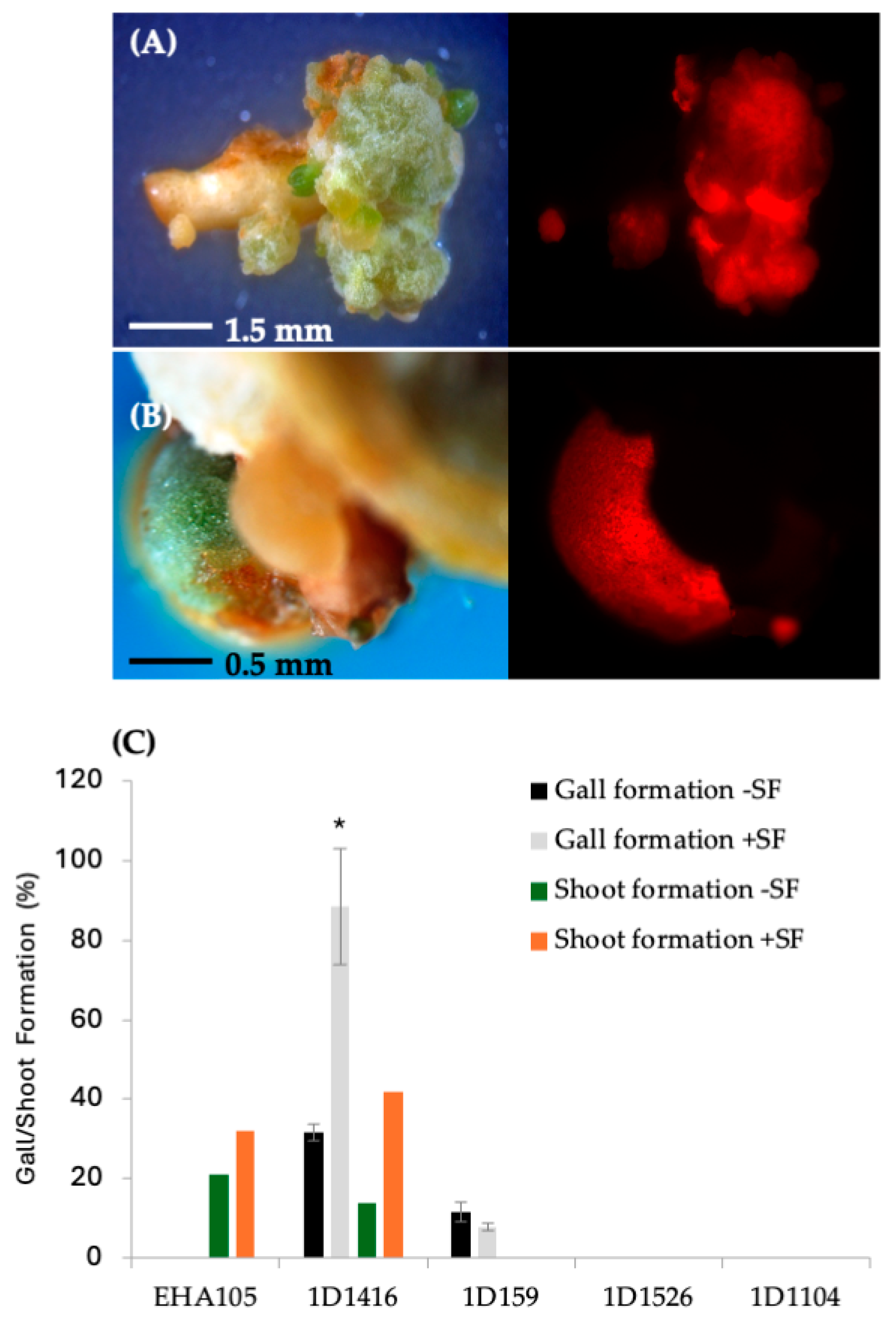 Microorganisms 12 01999 g003 Microorganisms 12 01999 g003