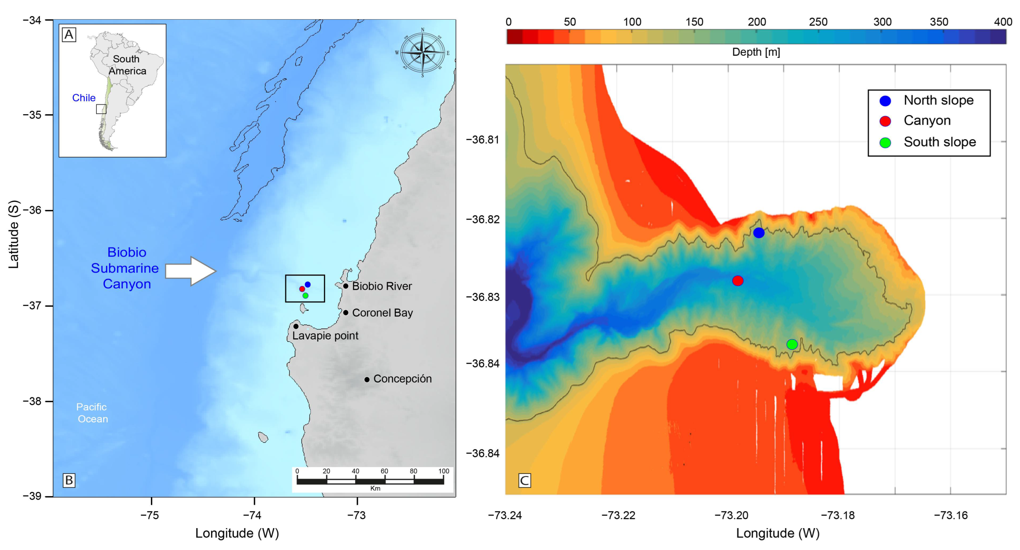Microorganisms 12 02015 g001 Microorganisms 12 02015 g001