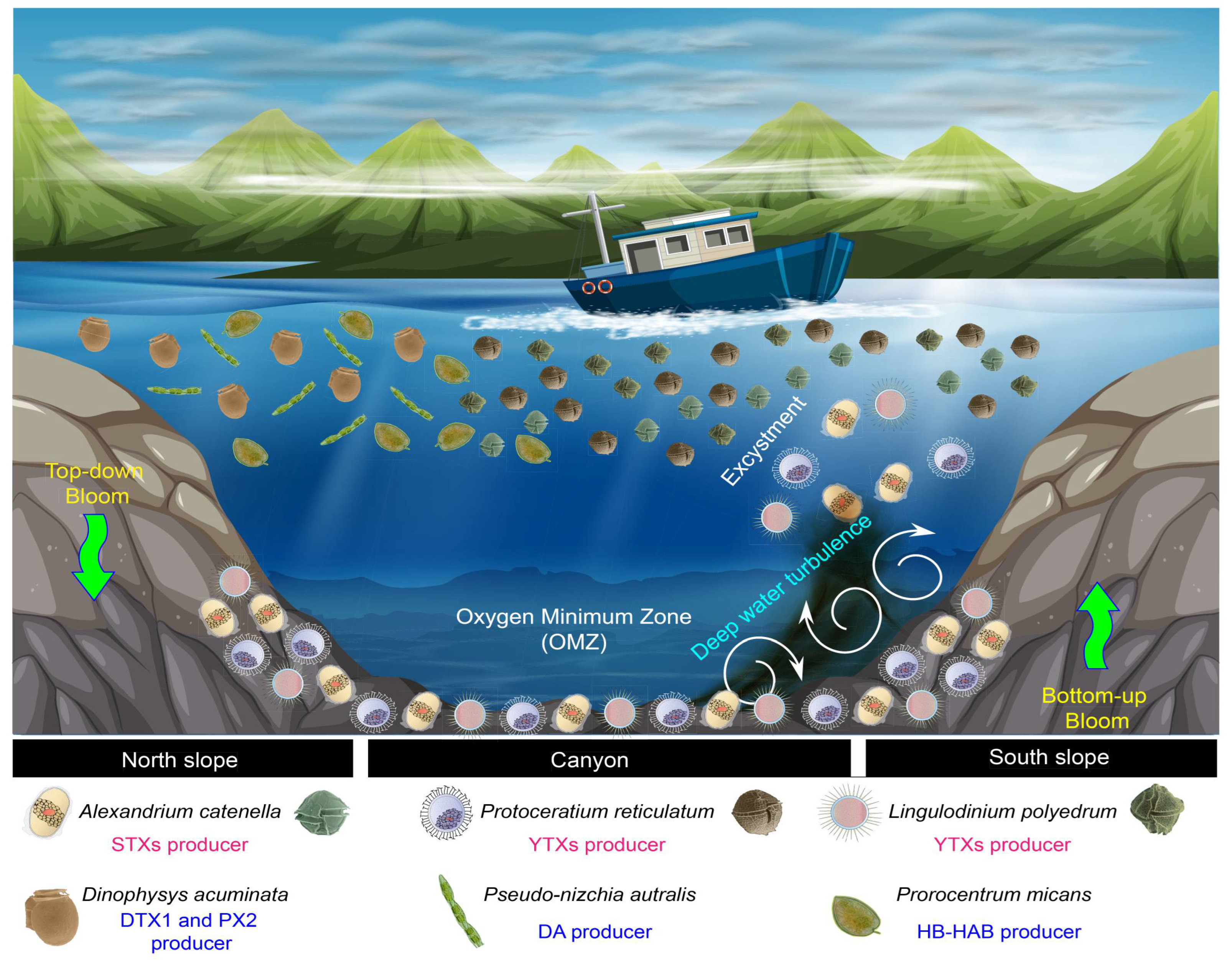 Microorganisms 12 02015 g009 Microorganisms 12 02015 g009