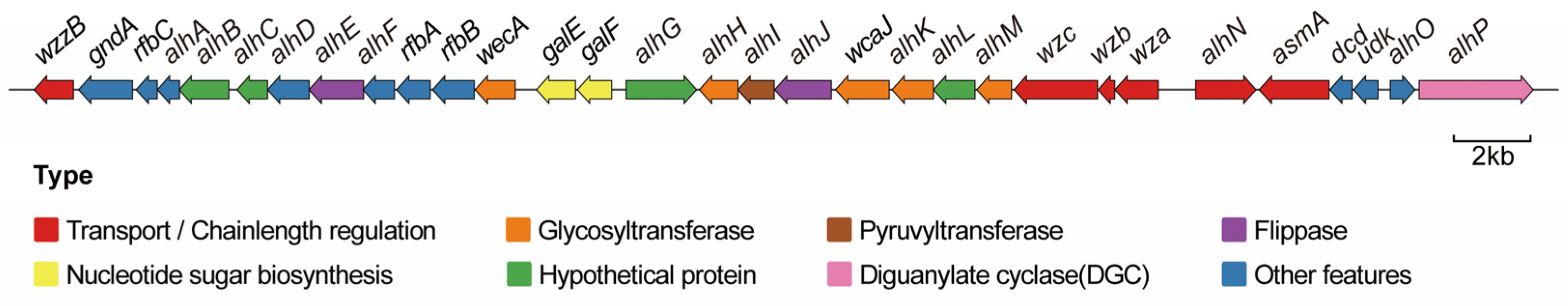 Microorganisms 12 02016 g001