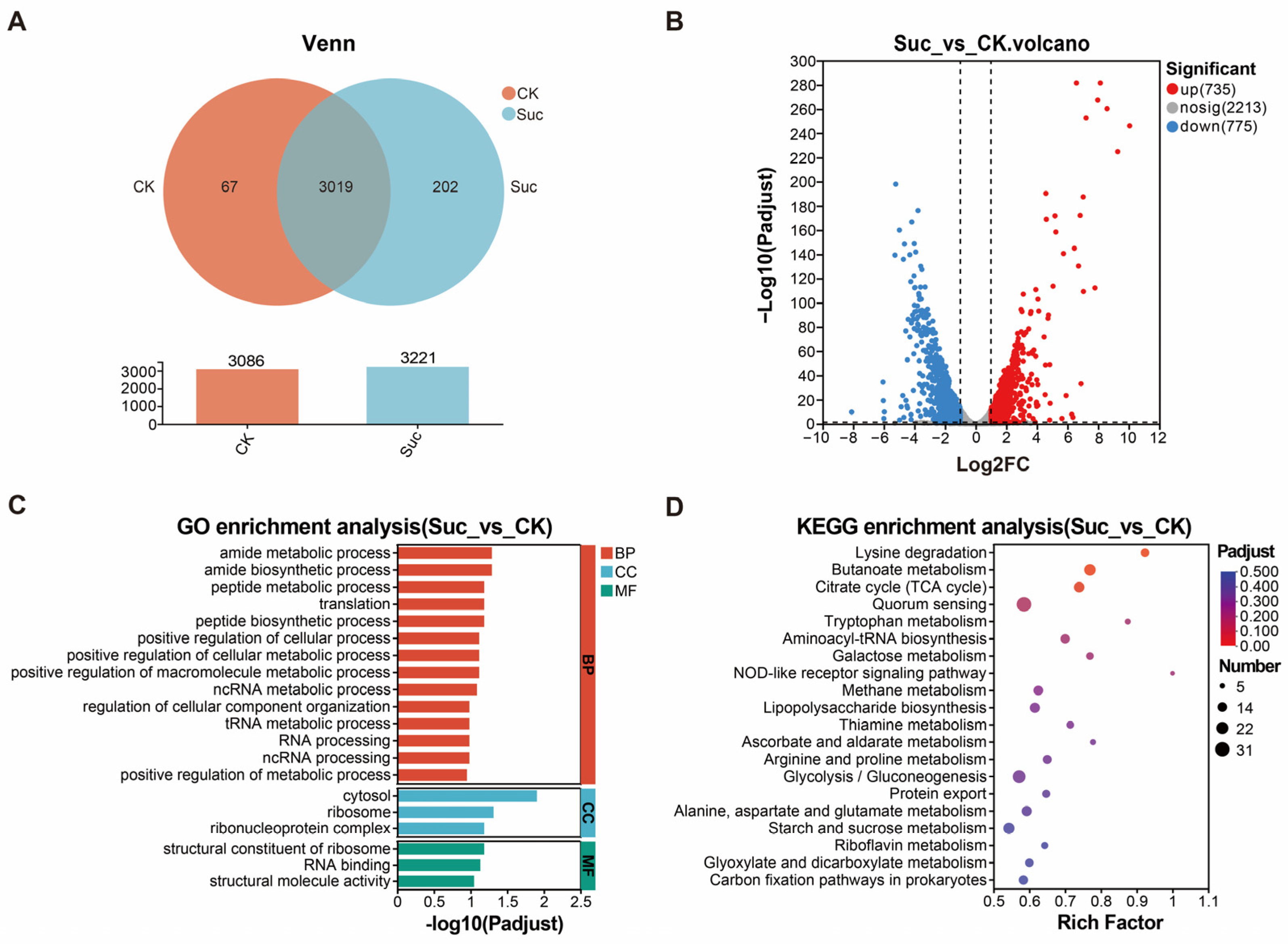 Microorganisms 12 02016 g003