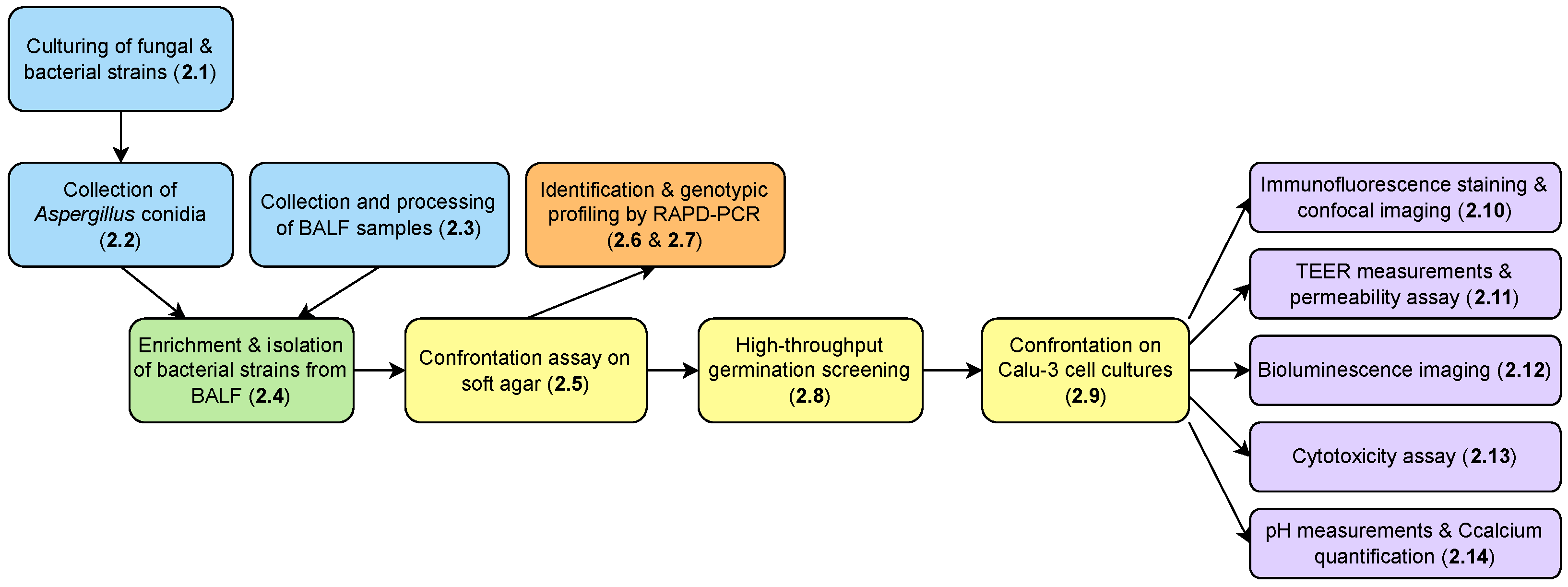 Microorganisms 12 02025 g001