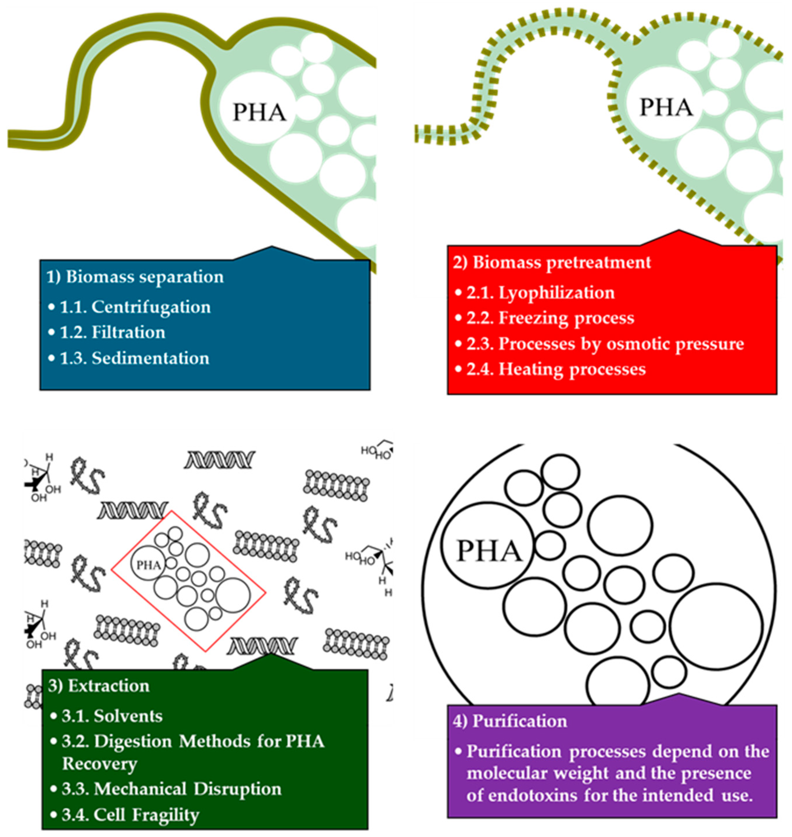 Microorganisms 12 02028 g004