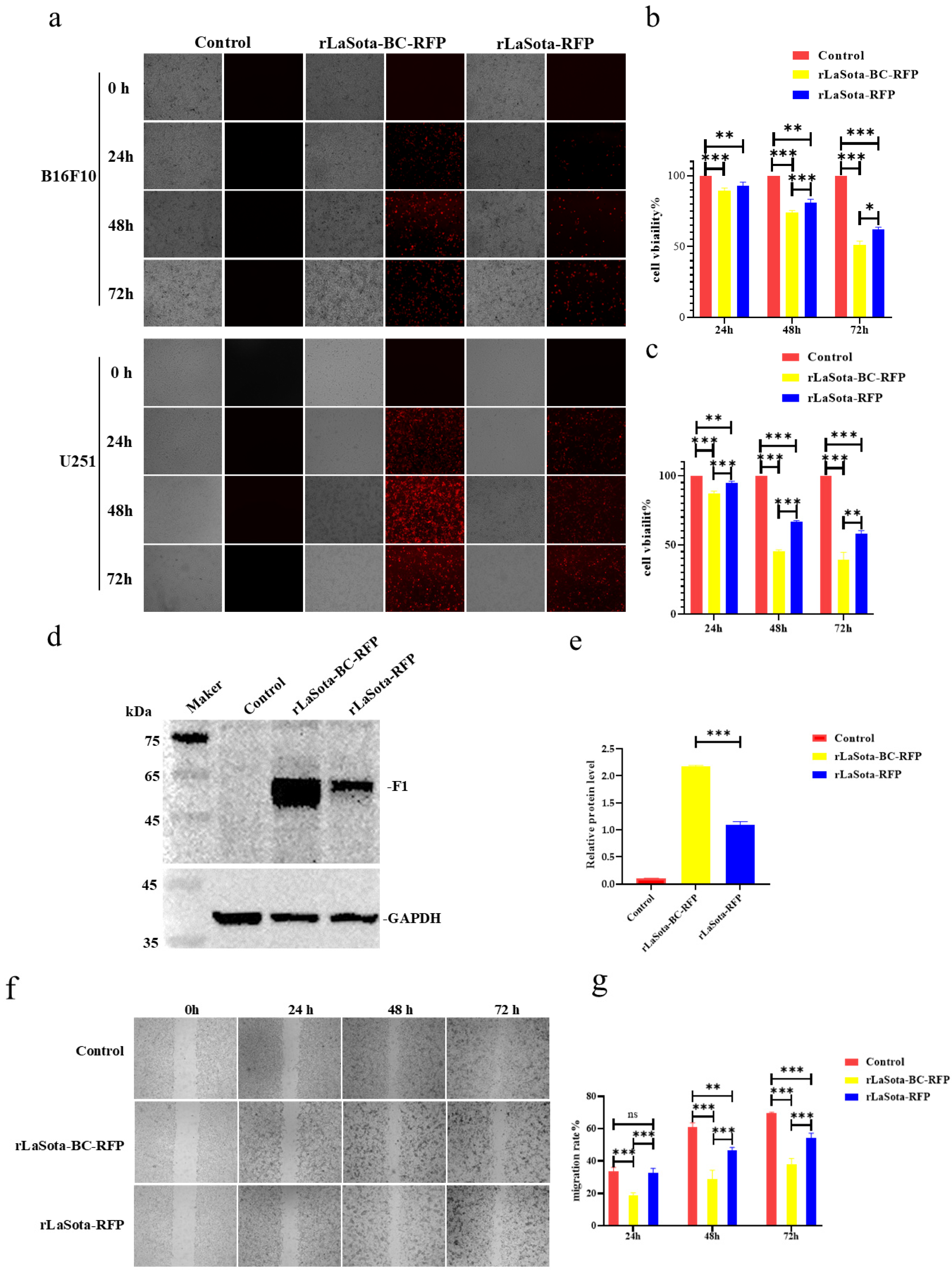 Microorganisms 12 02029 g002