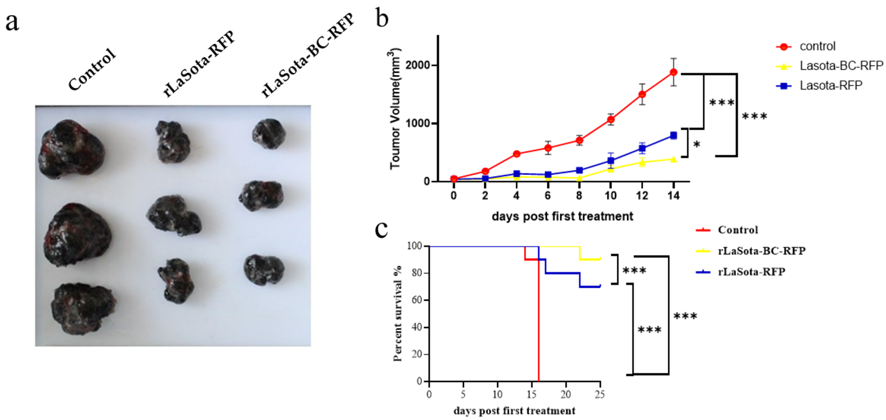Microorganisms 12 02029 g004