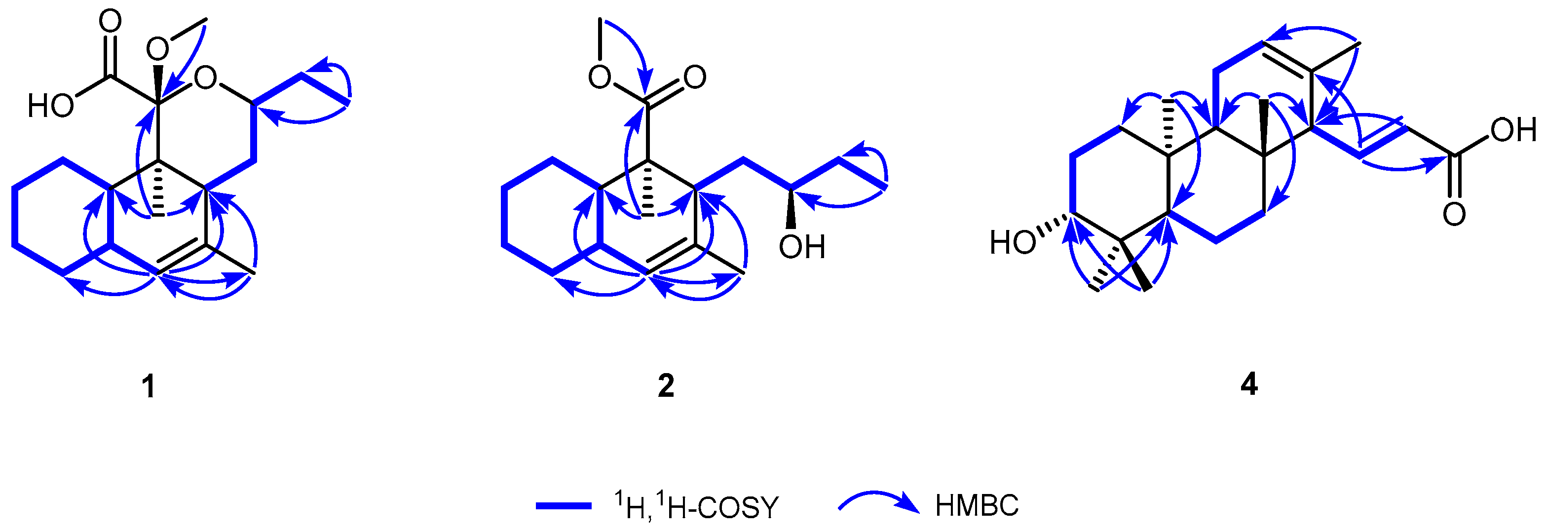 Microorganisms 12 02031 g001