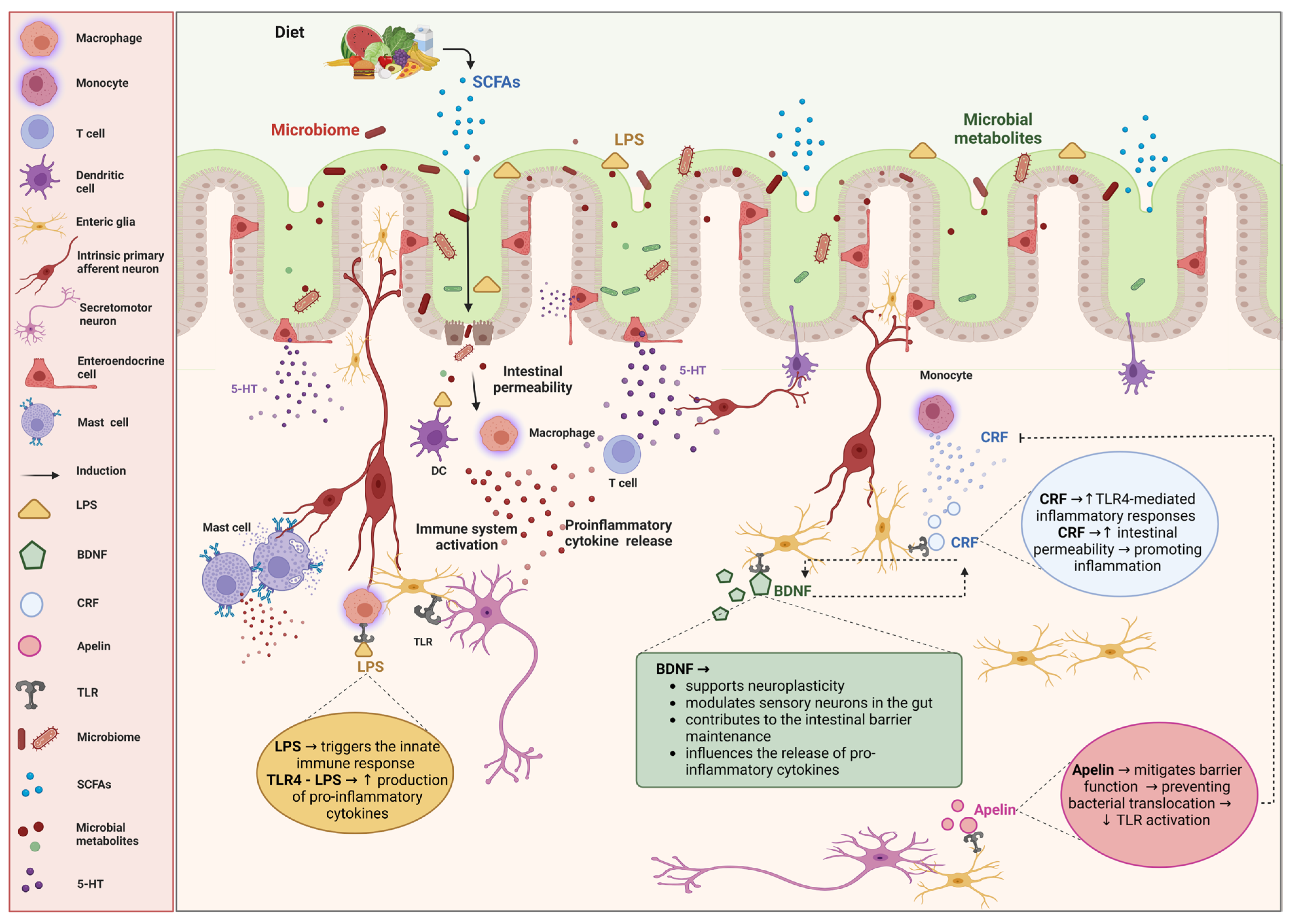 Microorganisms 12 02036 g001