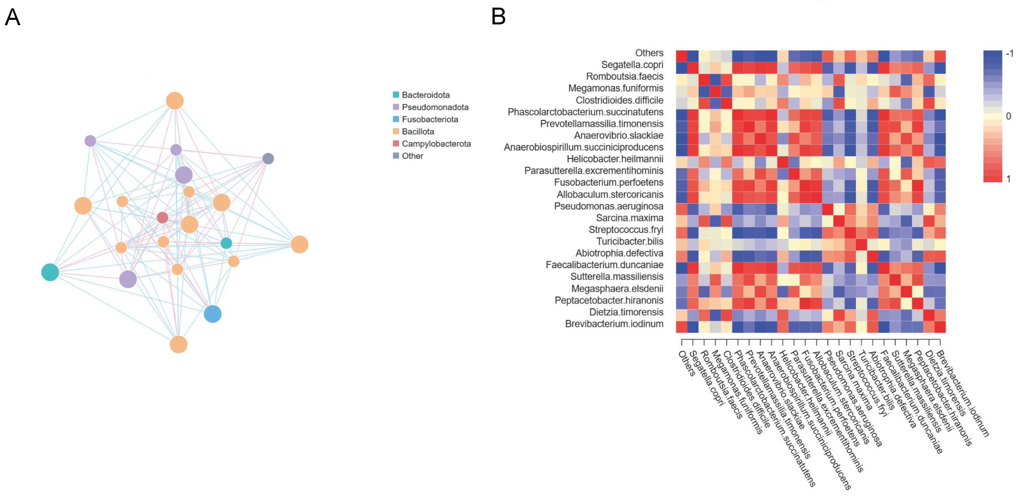 Microorganisms 12 02037 g004