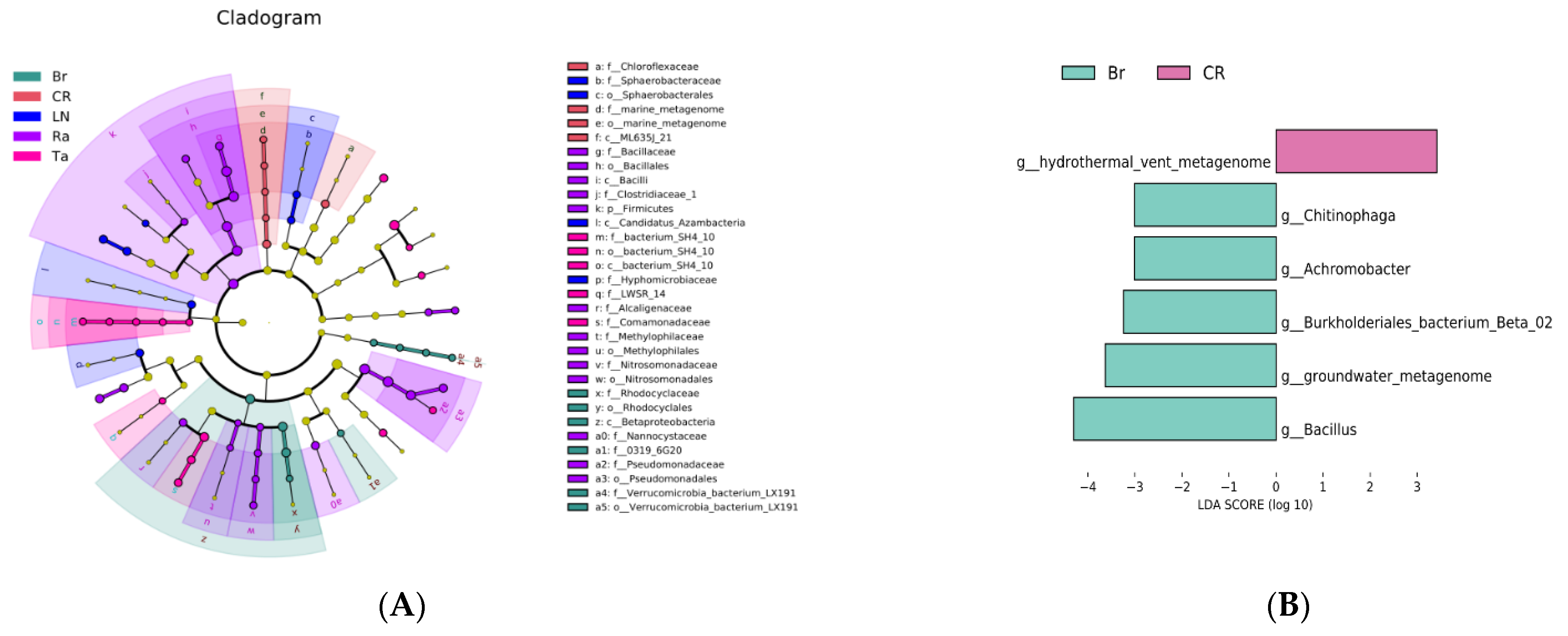 Microorganisms 12 02044 g005a