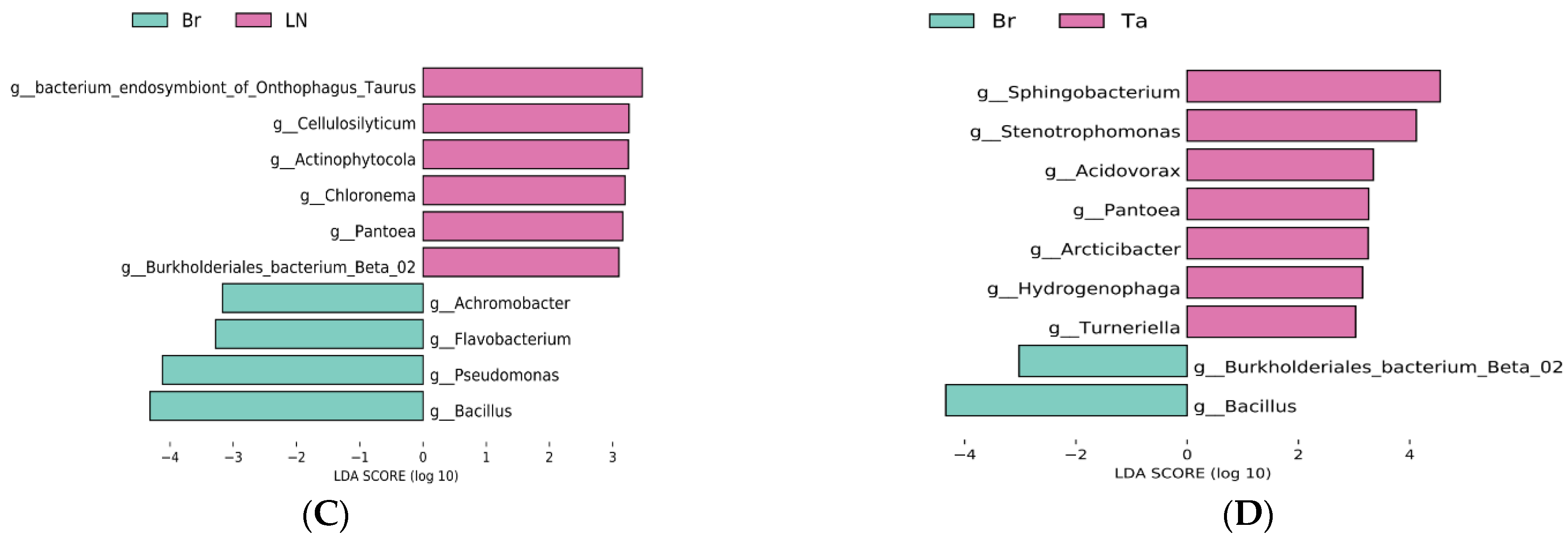Microorganisms 12 02044 g005b