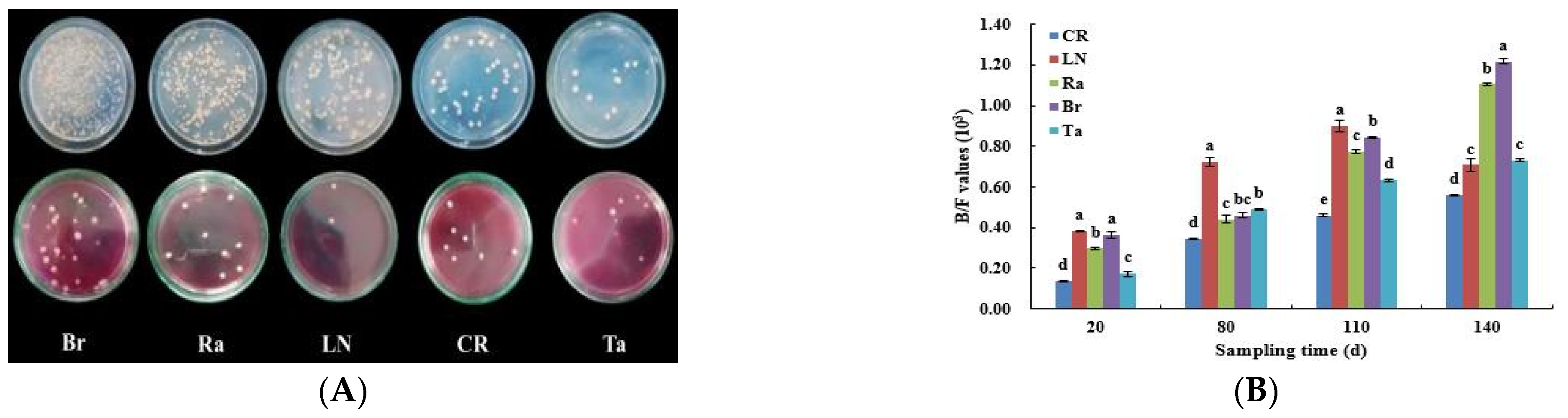 Microorganisms 12 02044 g008