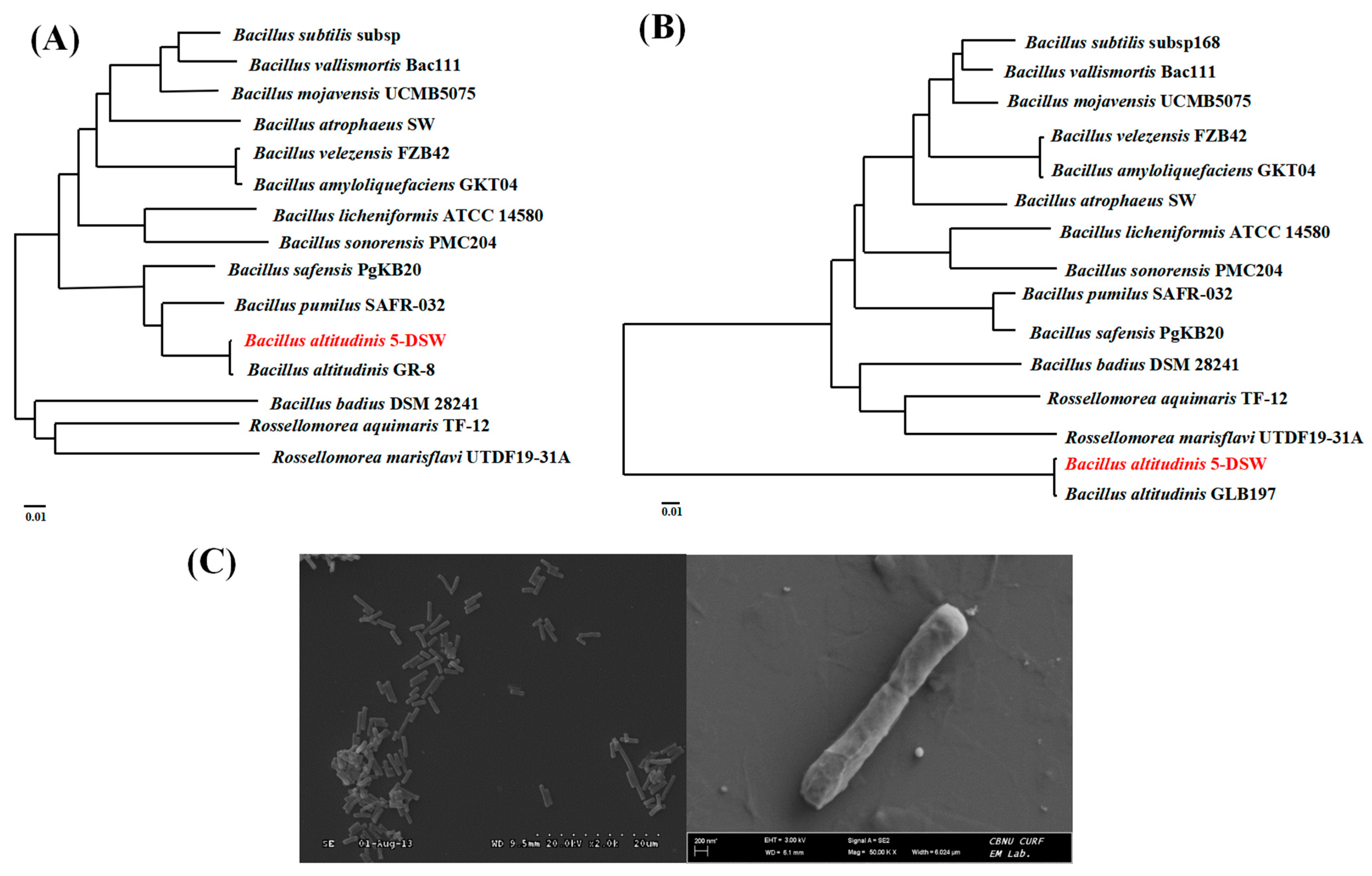 Microorganisms 12 02048 g002