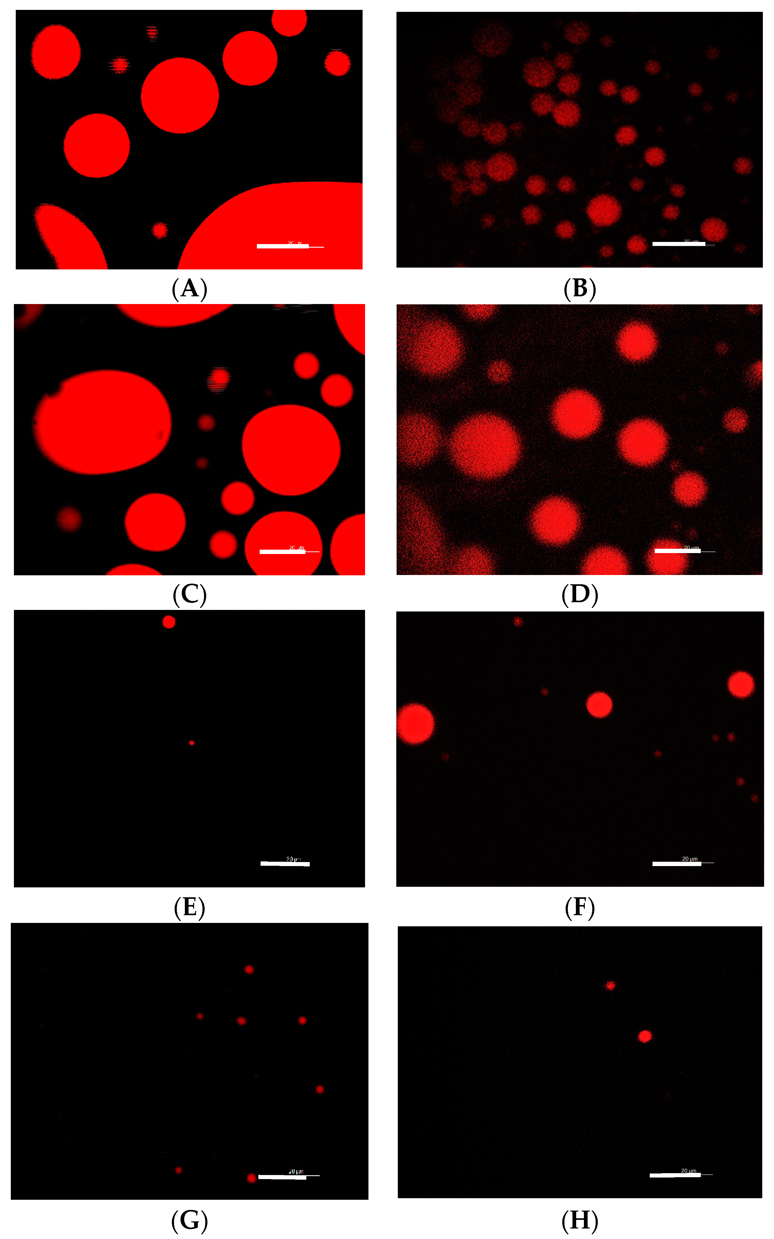 Microorganisms 12 02078 g003