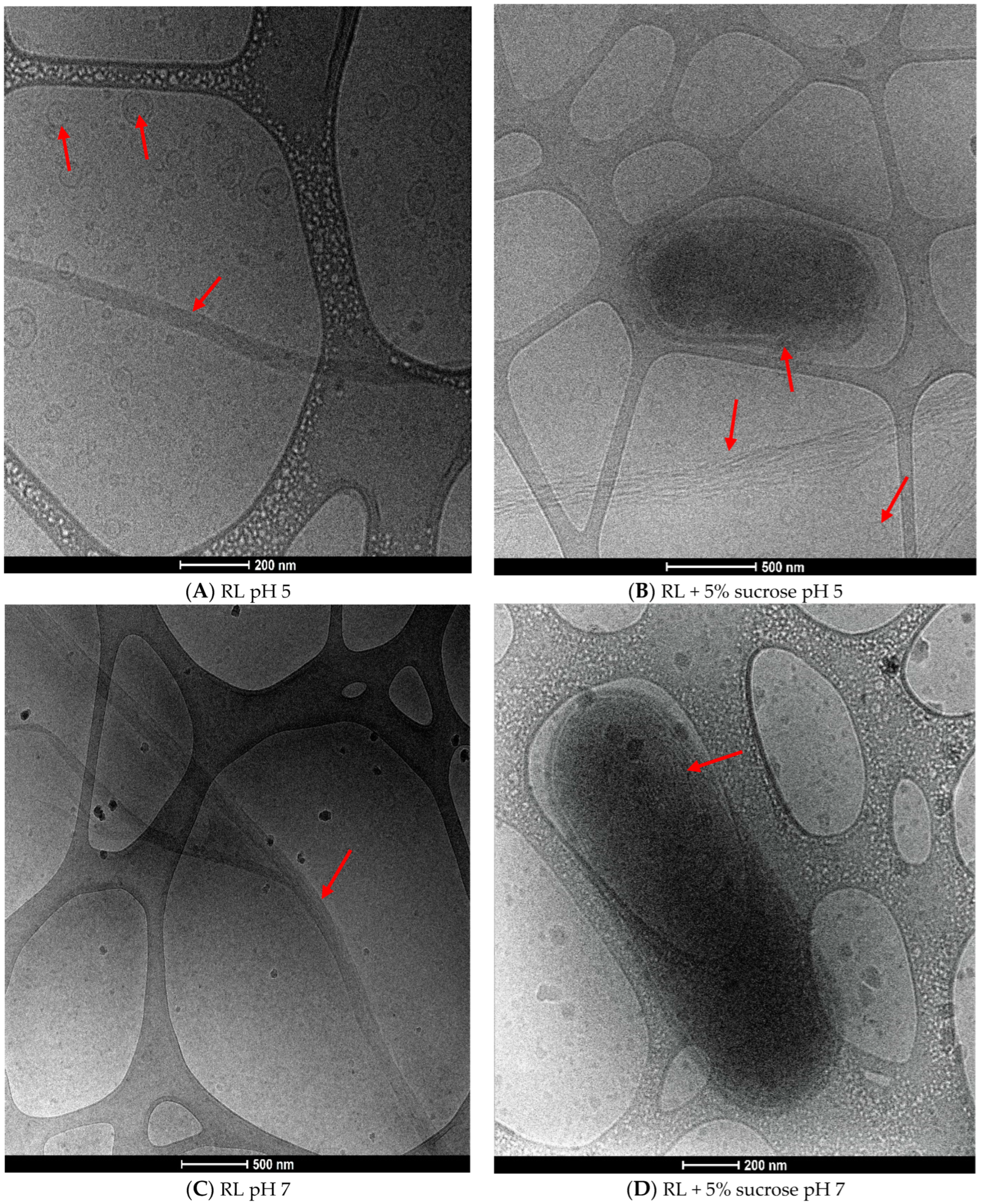 Microorganisms 12 02078 g004