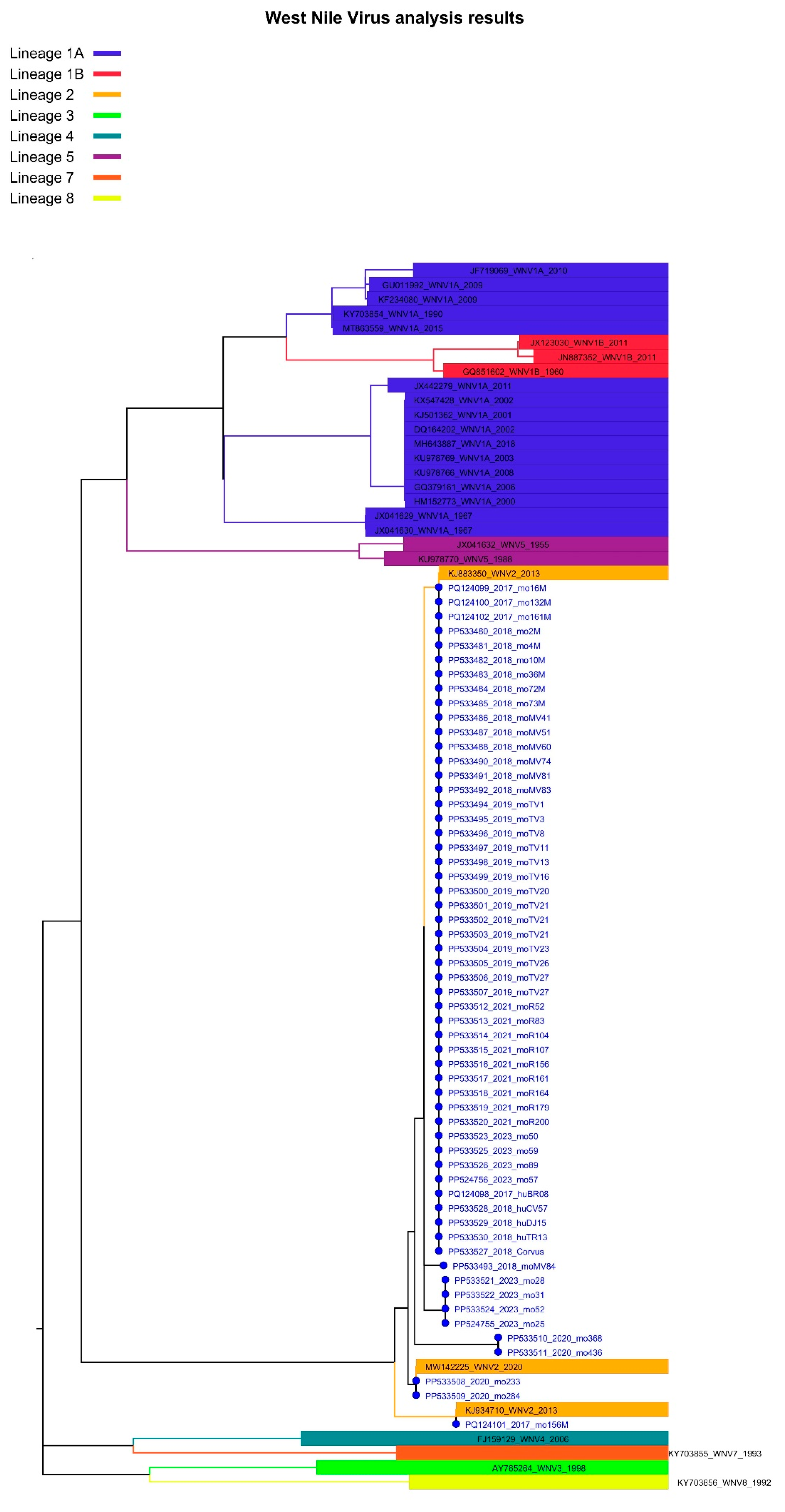 Microorganisms 12 02080 g003 Microorganisms 12 02080 g003