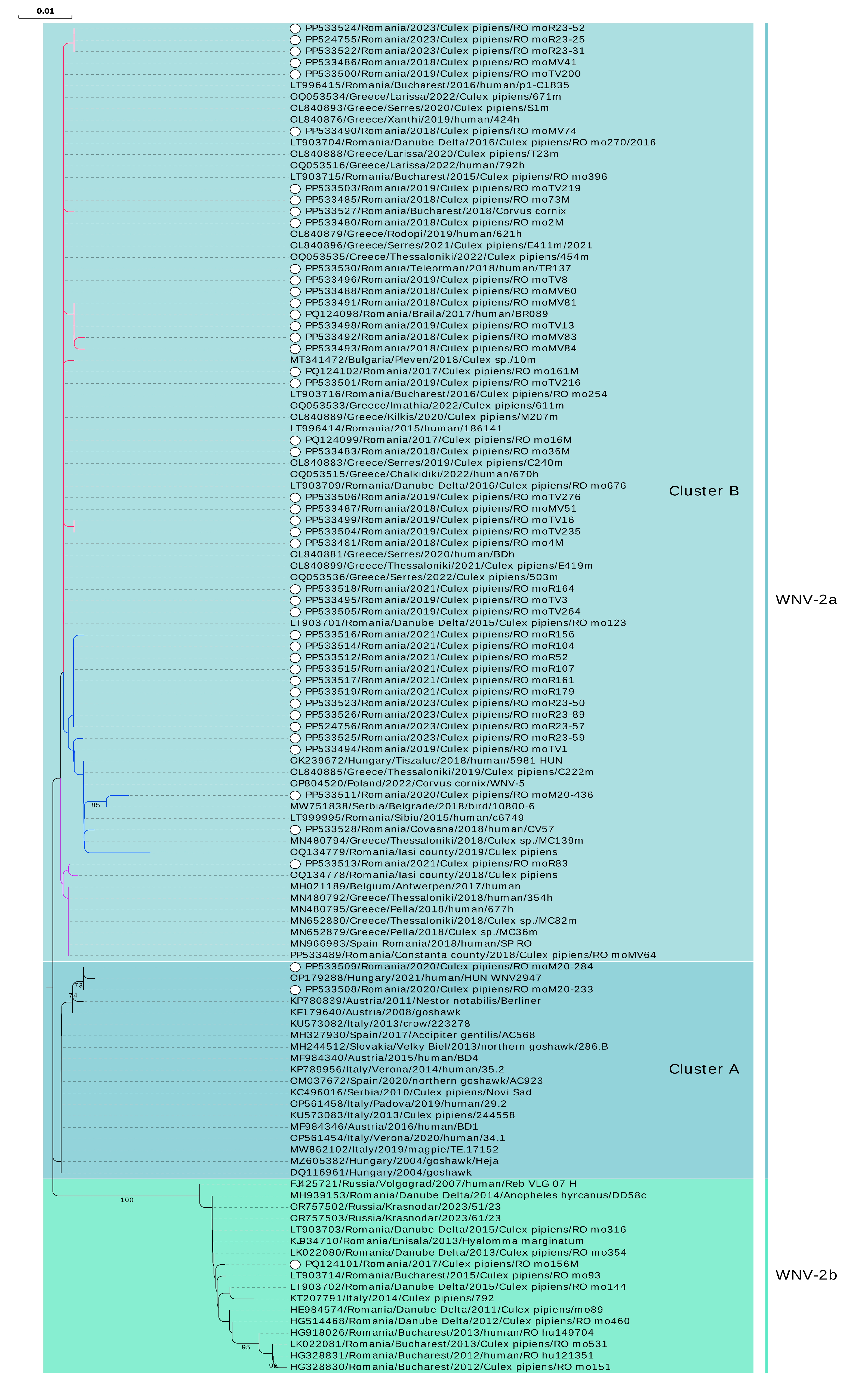 Microorganisms 12 02080 g004 Microorganisms 12 02080 g004