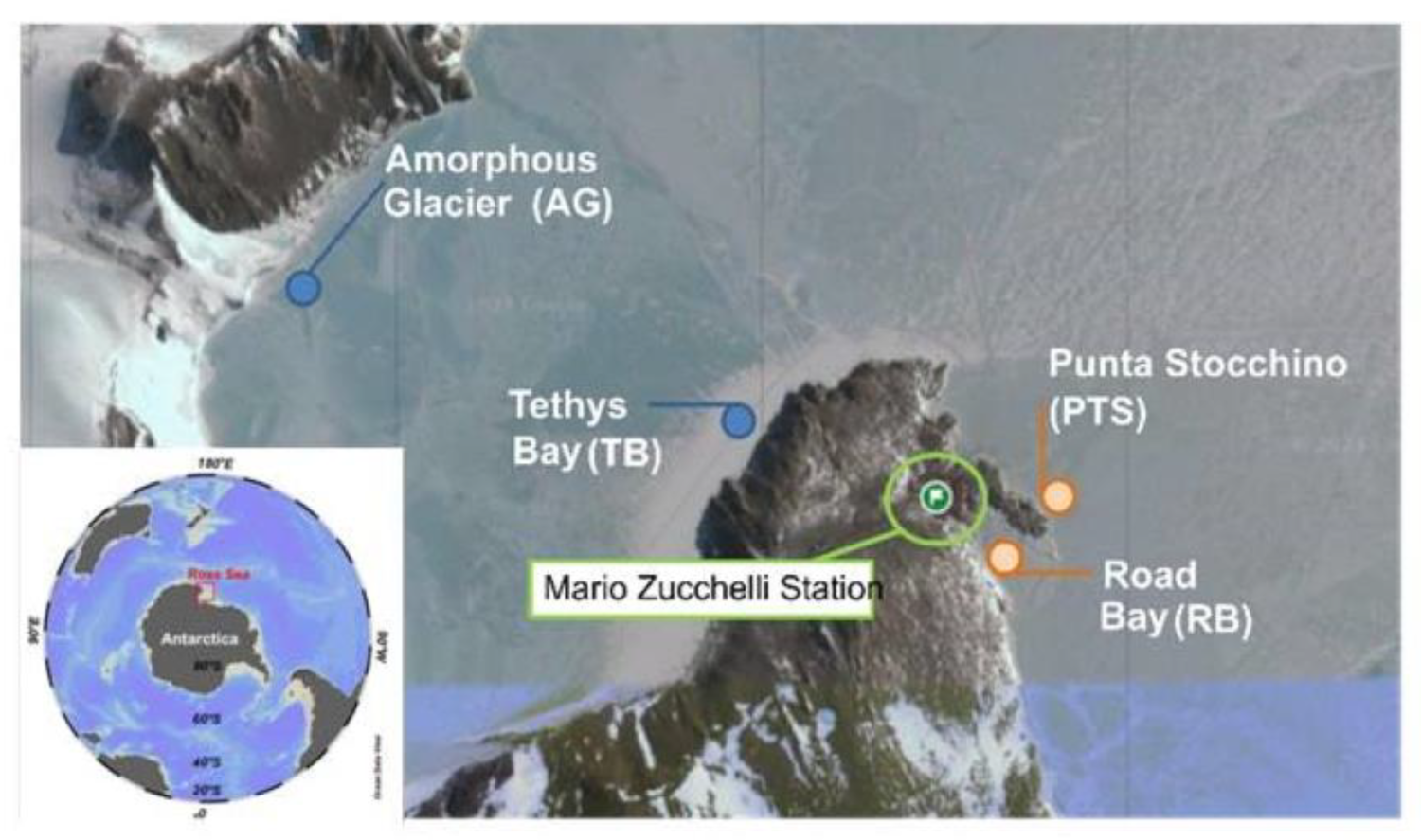 Microorganisms 12 02083 g001