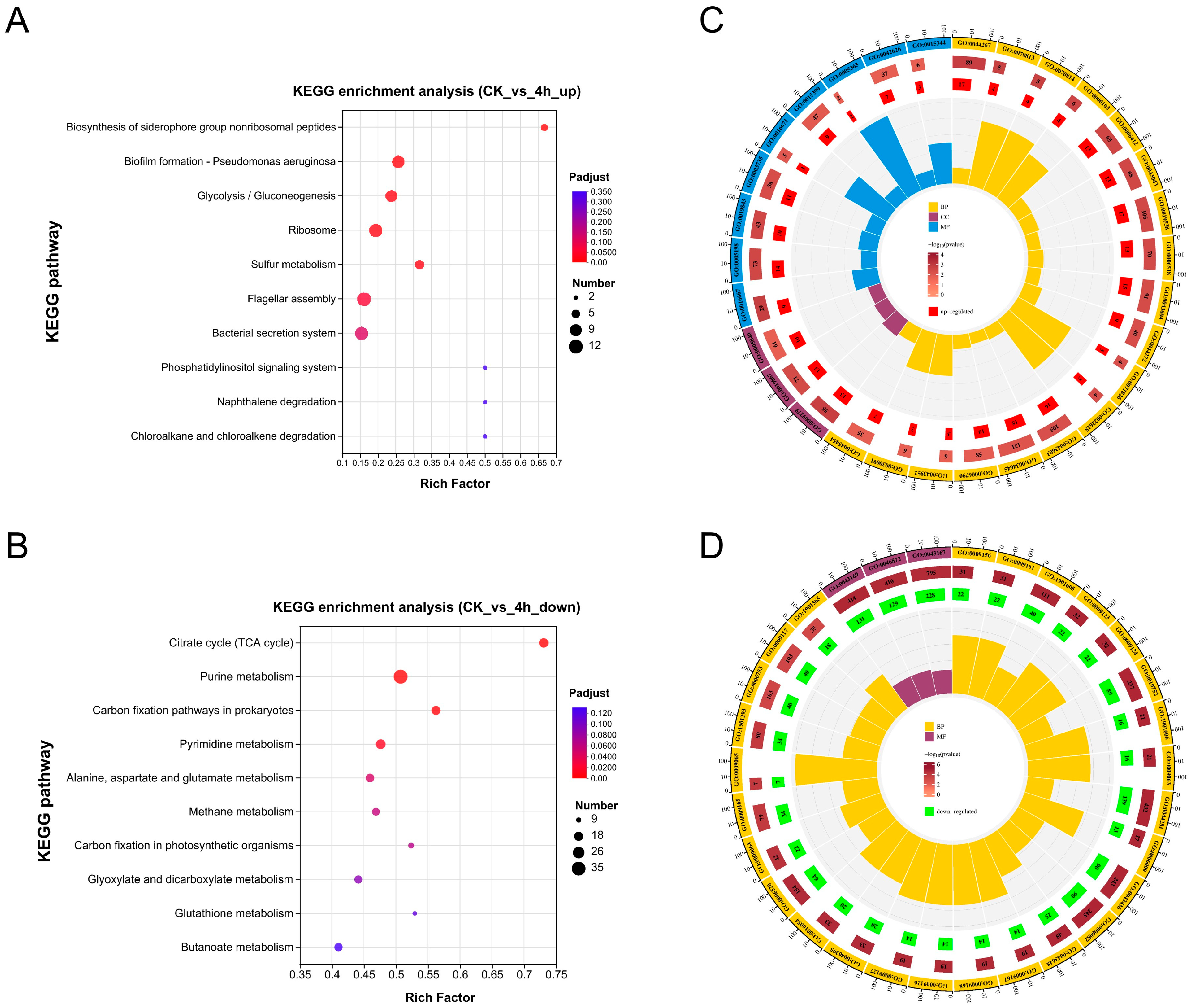Microorganisms 12 02113 g003