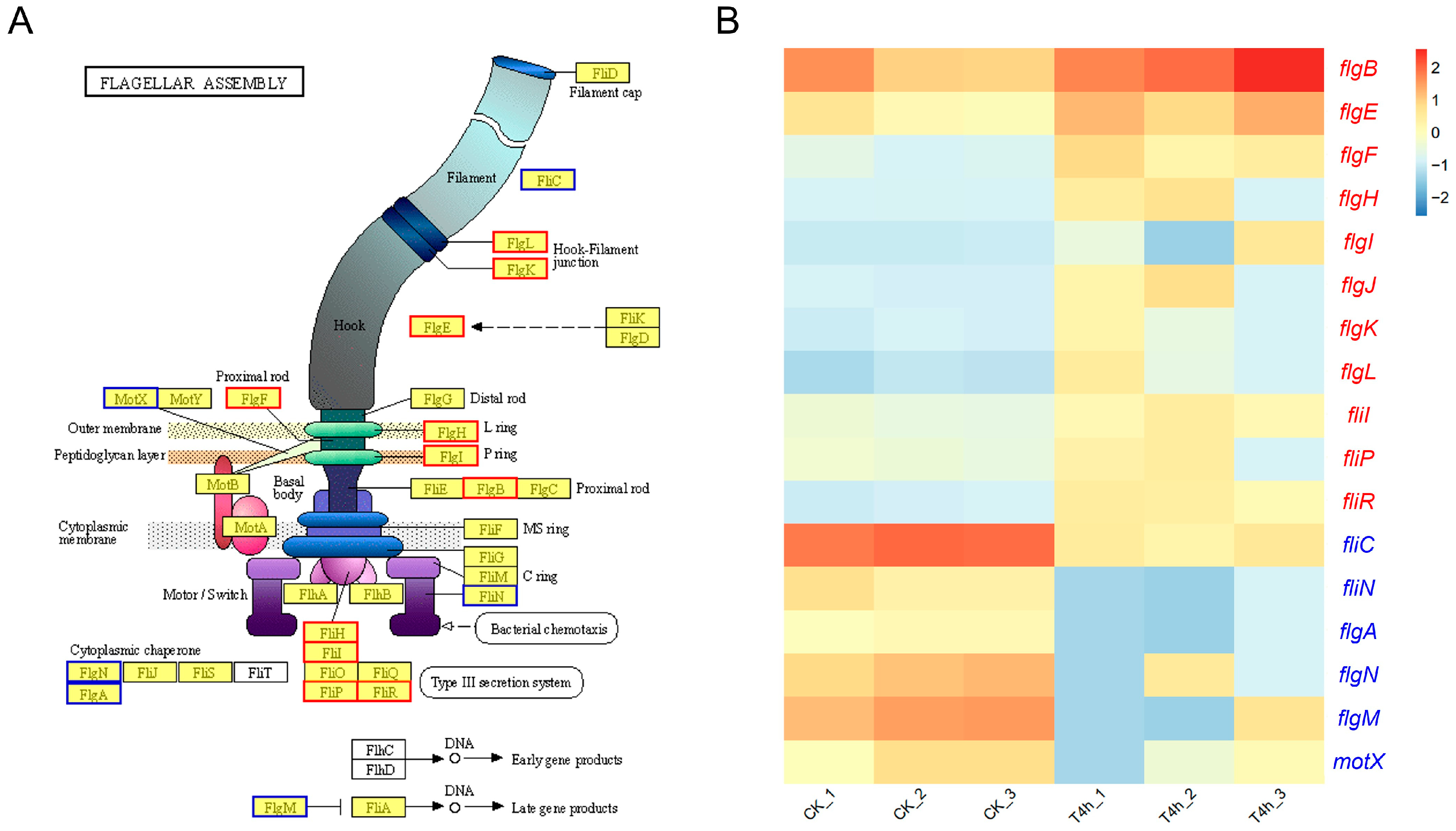 Microorganisms 12 02113 g006