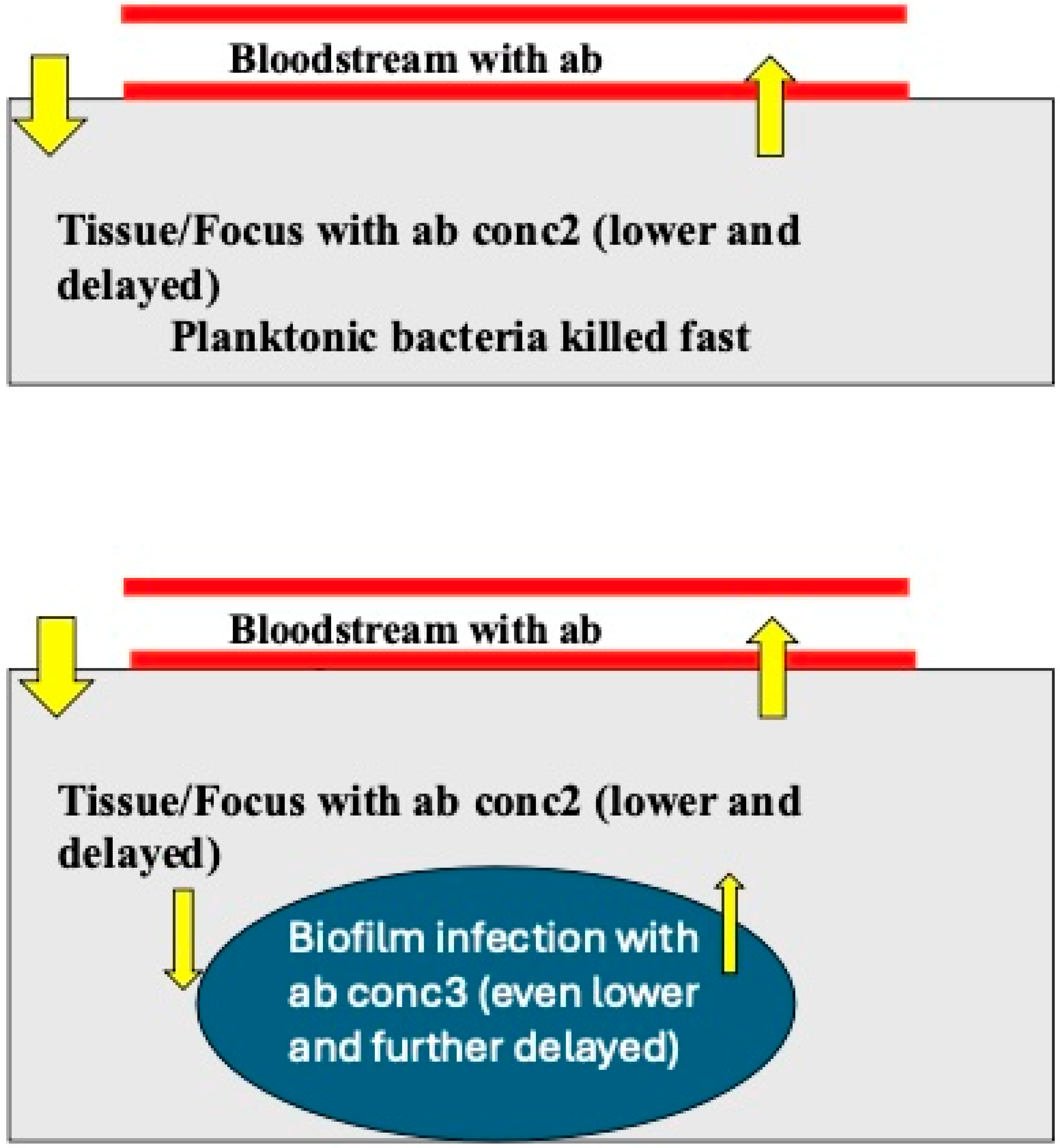 Microorganisms 12 02115 g003