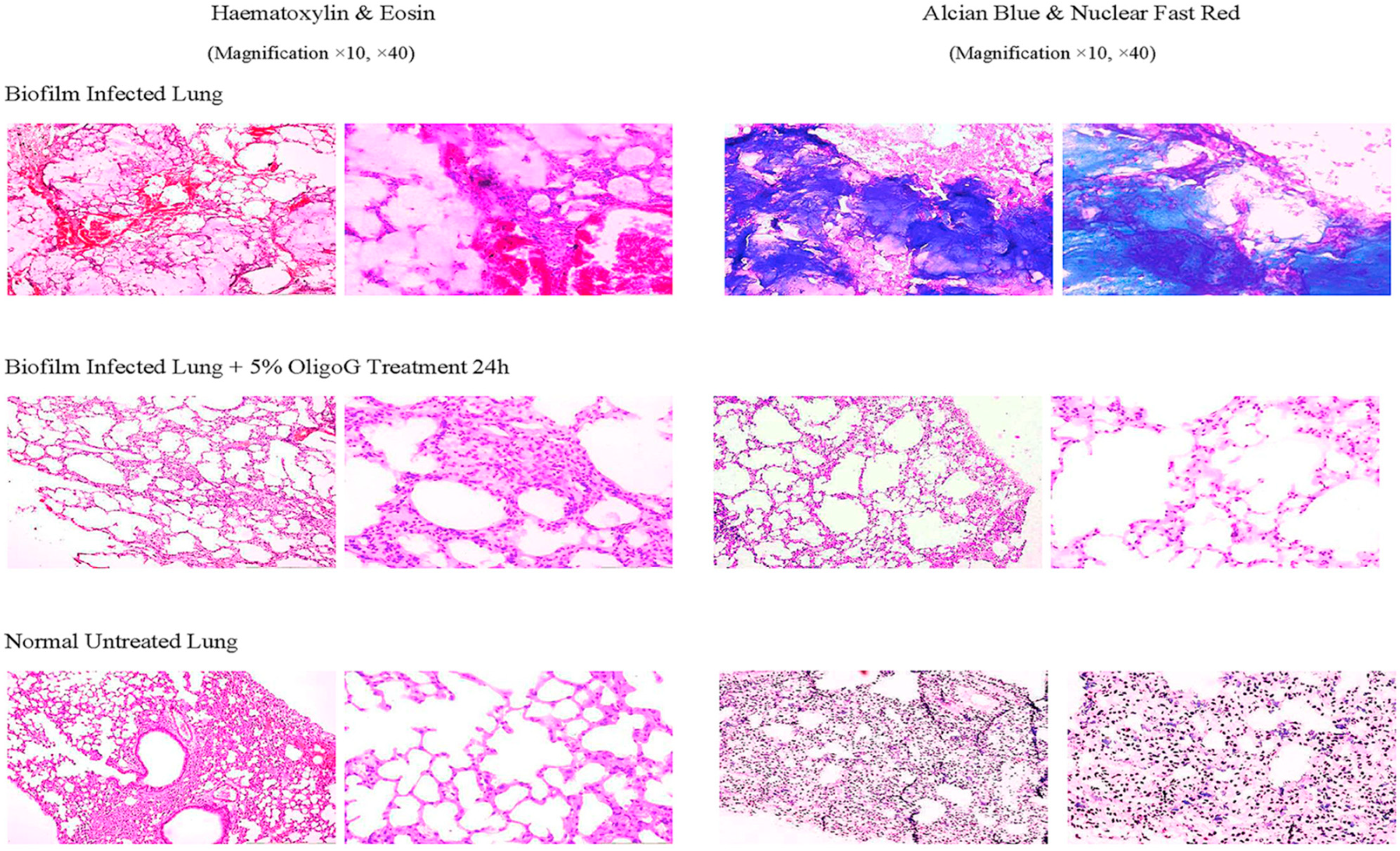 Microorganisms 12 02115 g009