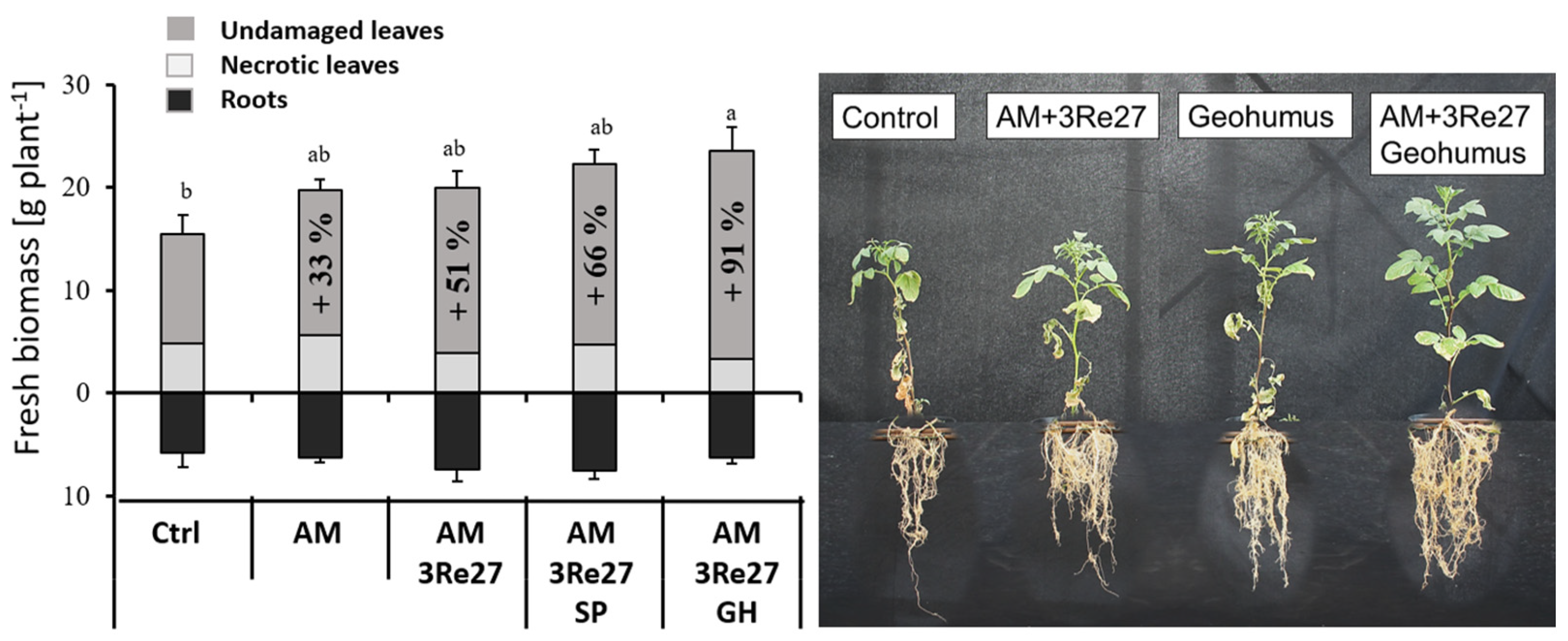 Microorganisms 12 02128 g001