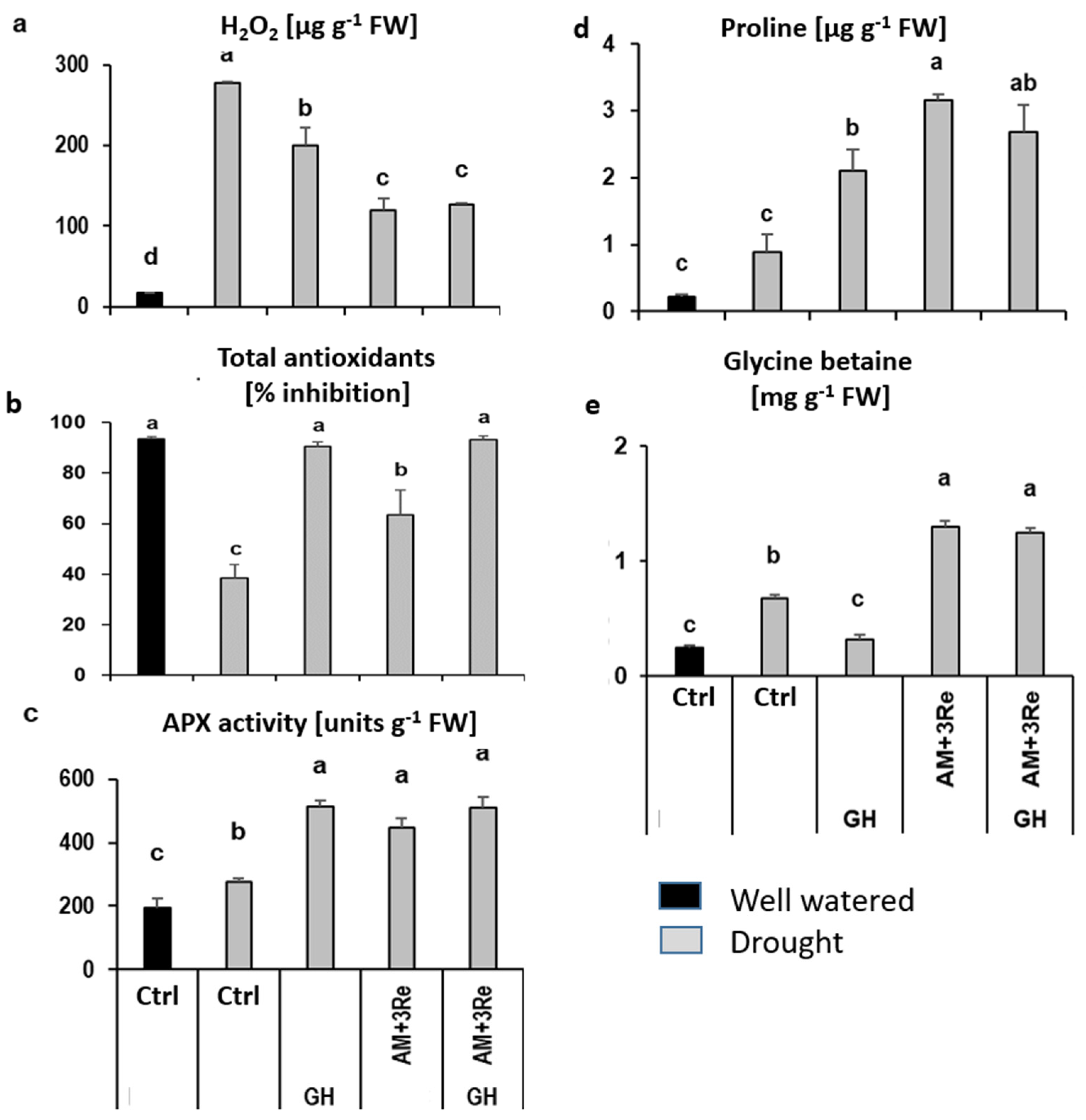 Microorganisms 12 02128 g004