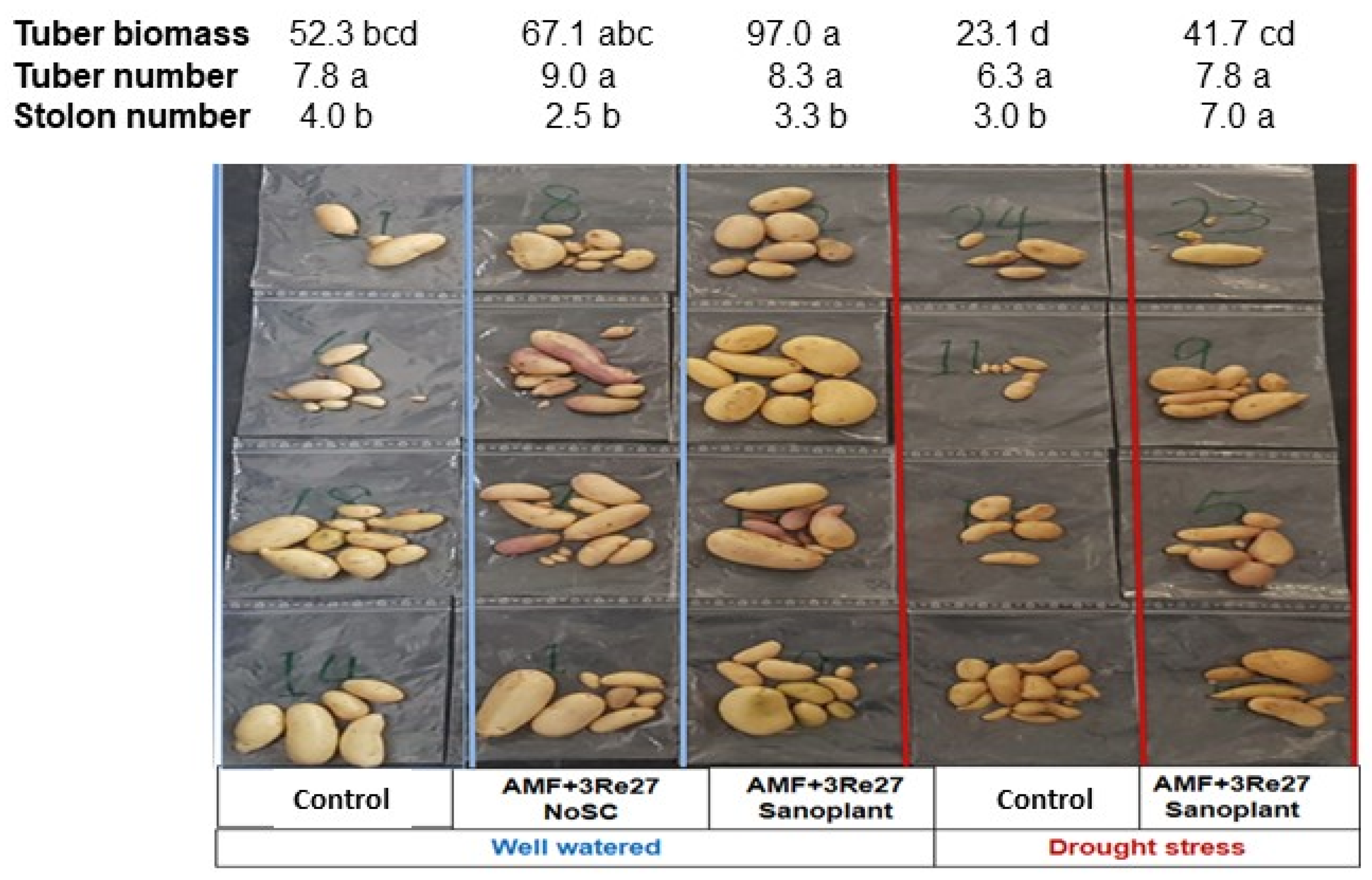 Microorganisms 12 02128 g006