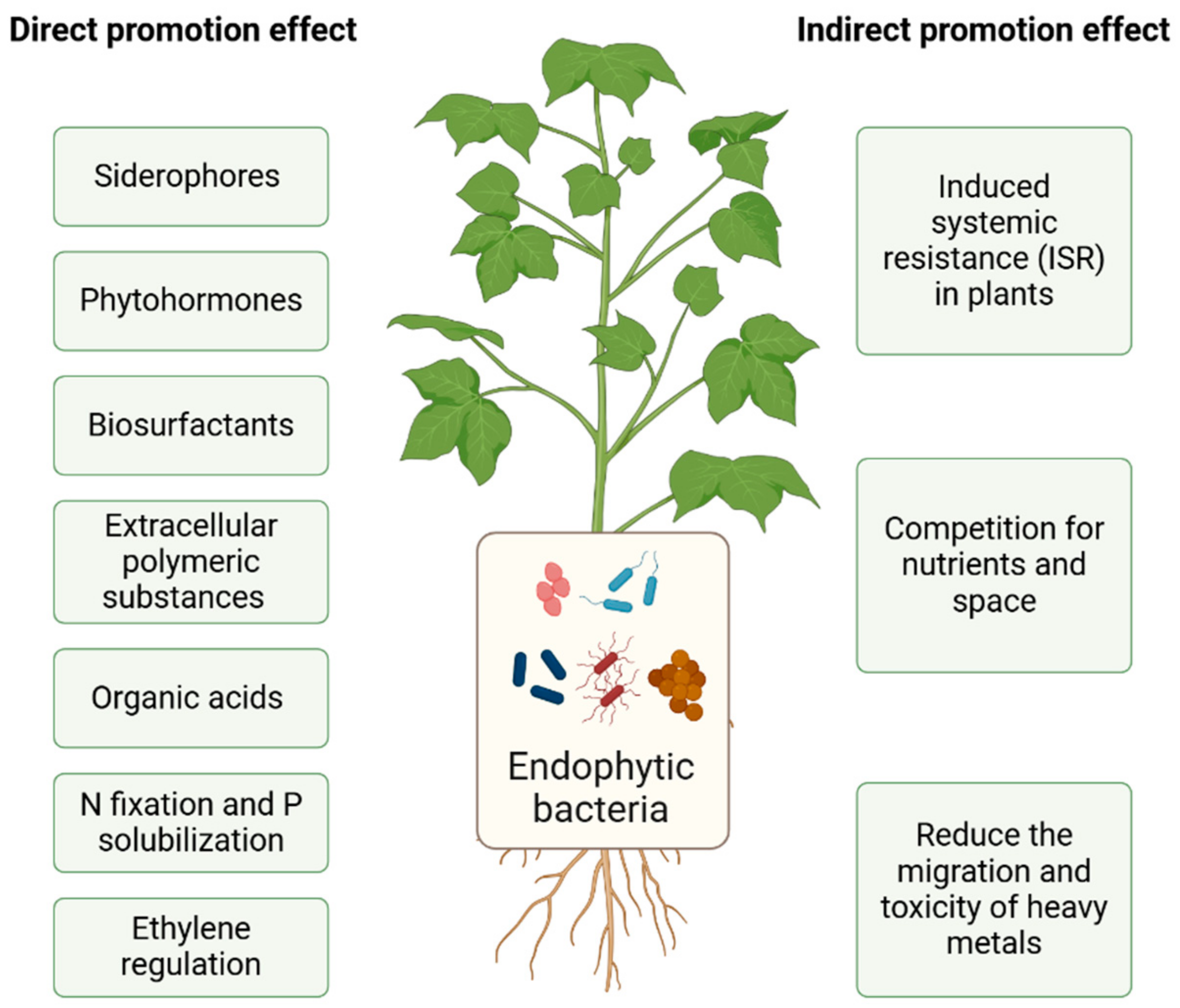 Microorganisms 12 02137 g002