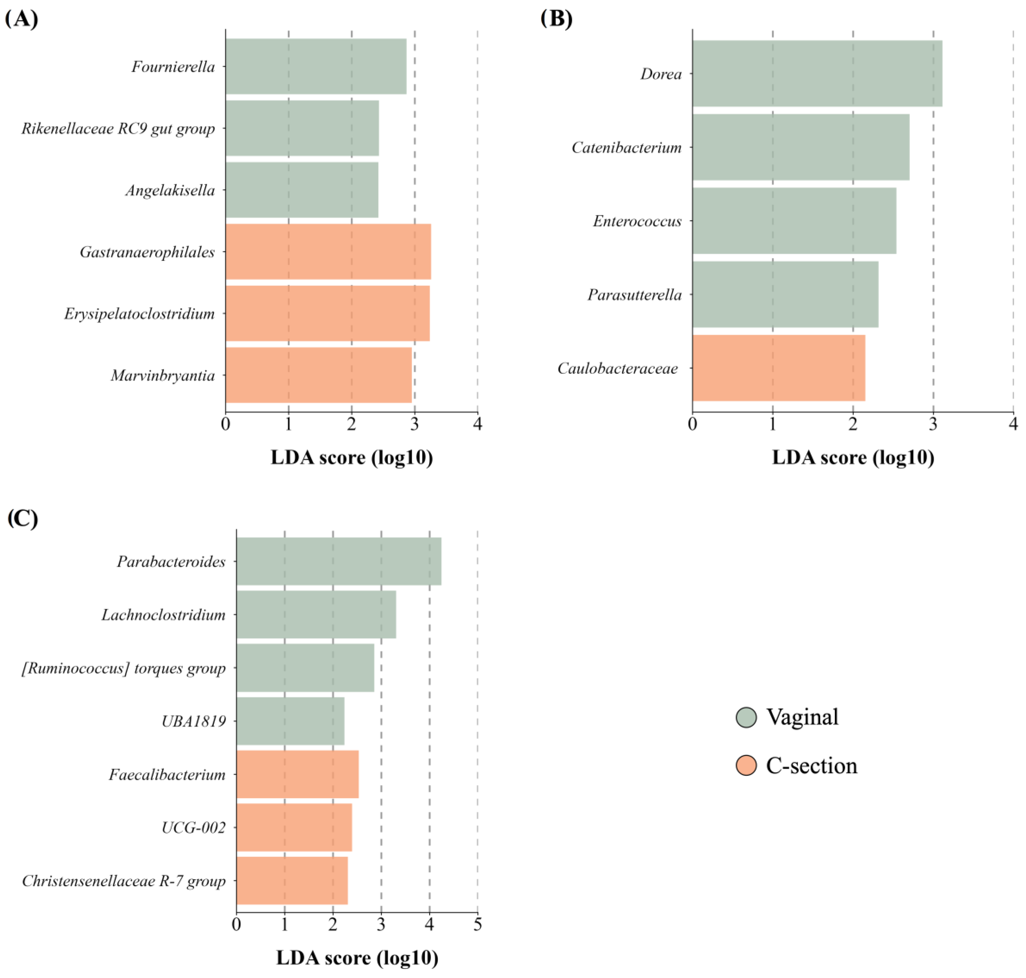 Microorganisms 12 02142 g005