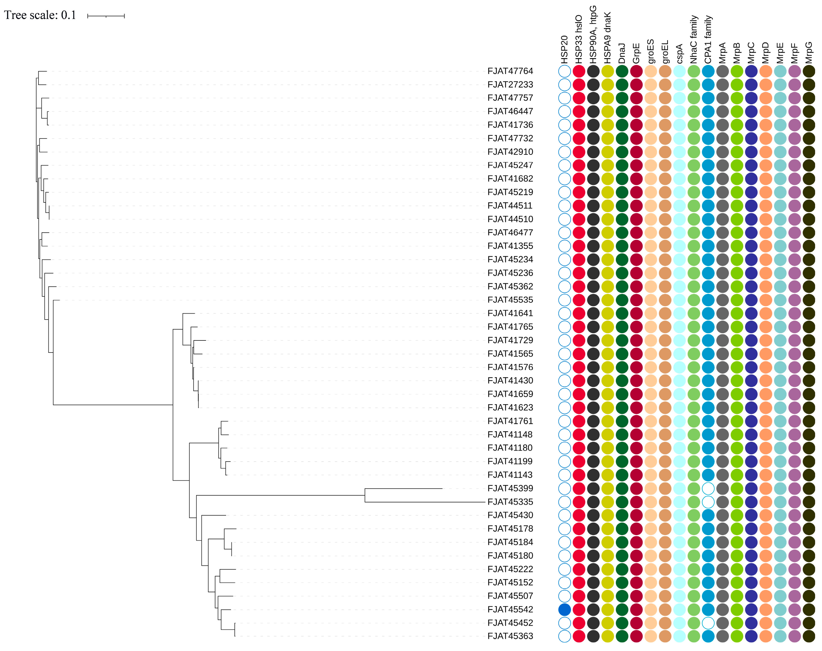 Microorganisms 12 02143 g003