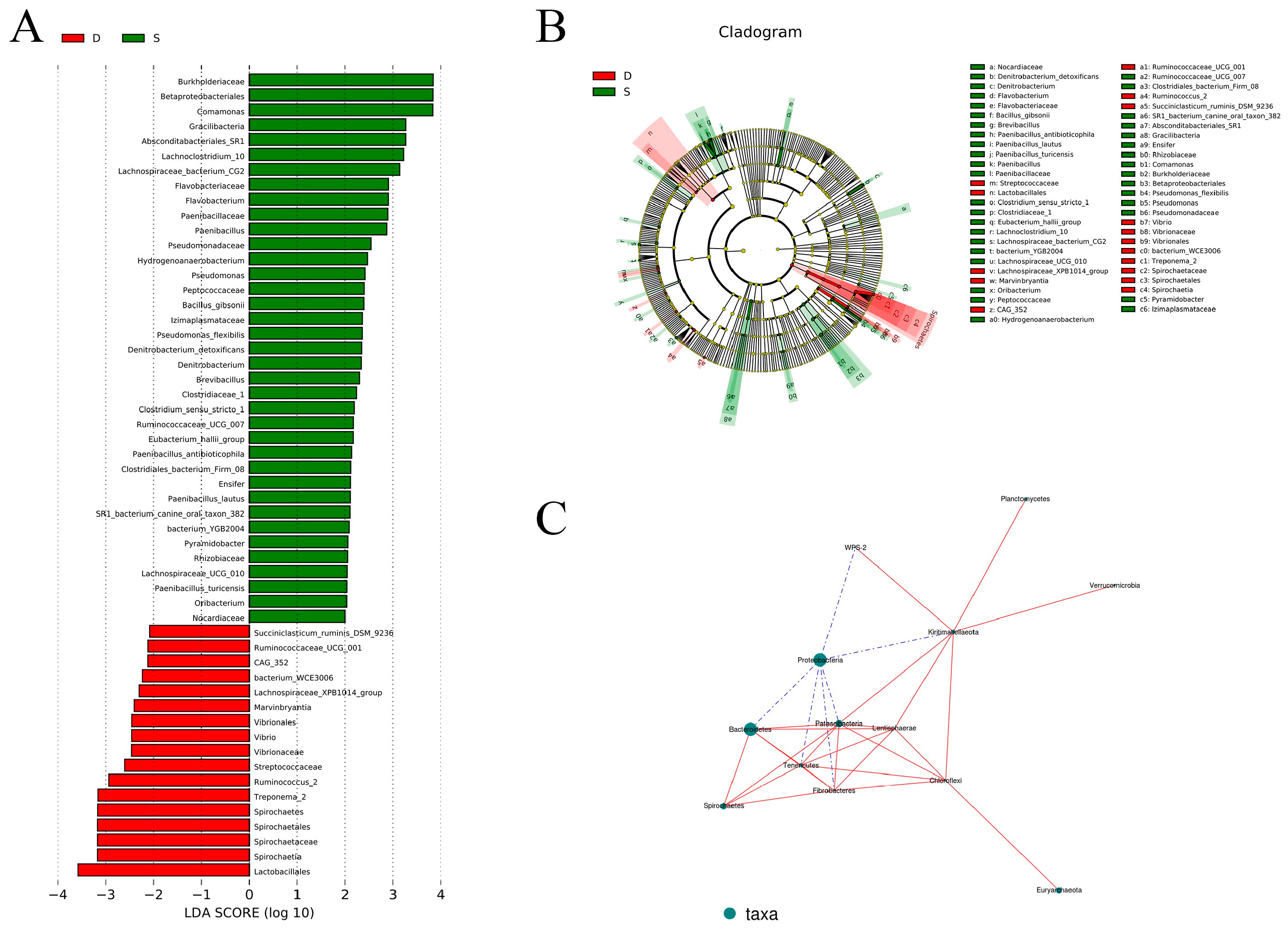 Microorganisms 12 02154 g003